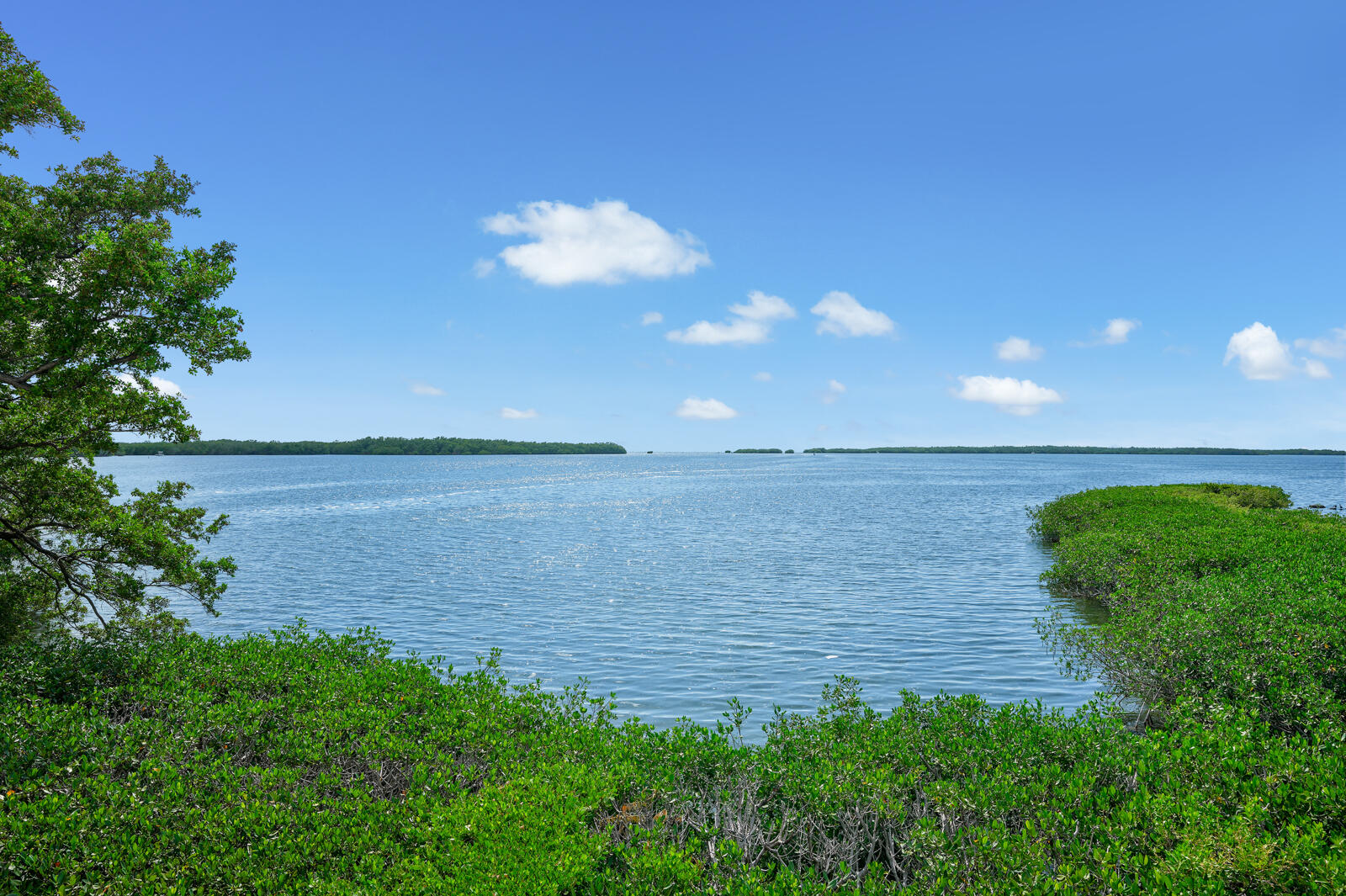 260 Plantation Avenue