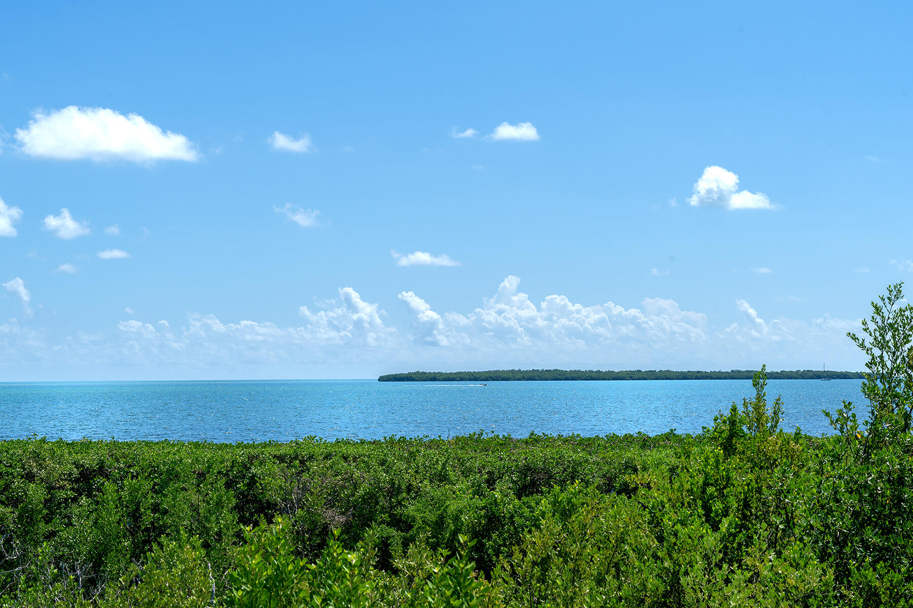 500 Burton Drive Unit: 4215