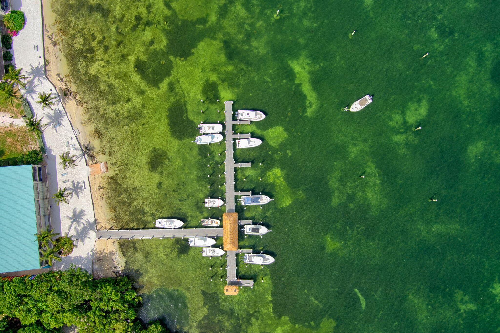 87200 Overseas Highway Unit: M9