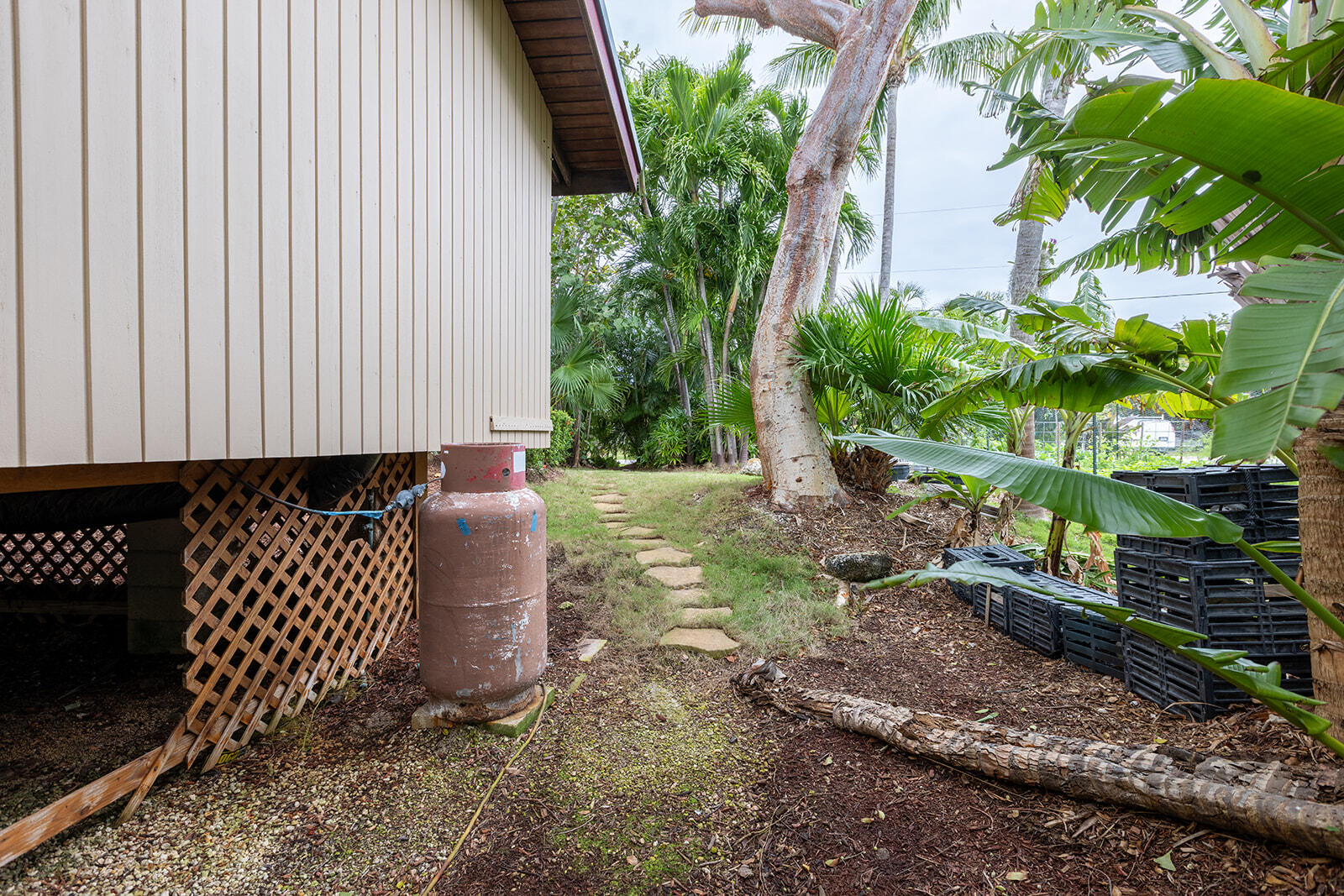 17338 E Dolphin Street