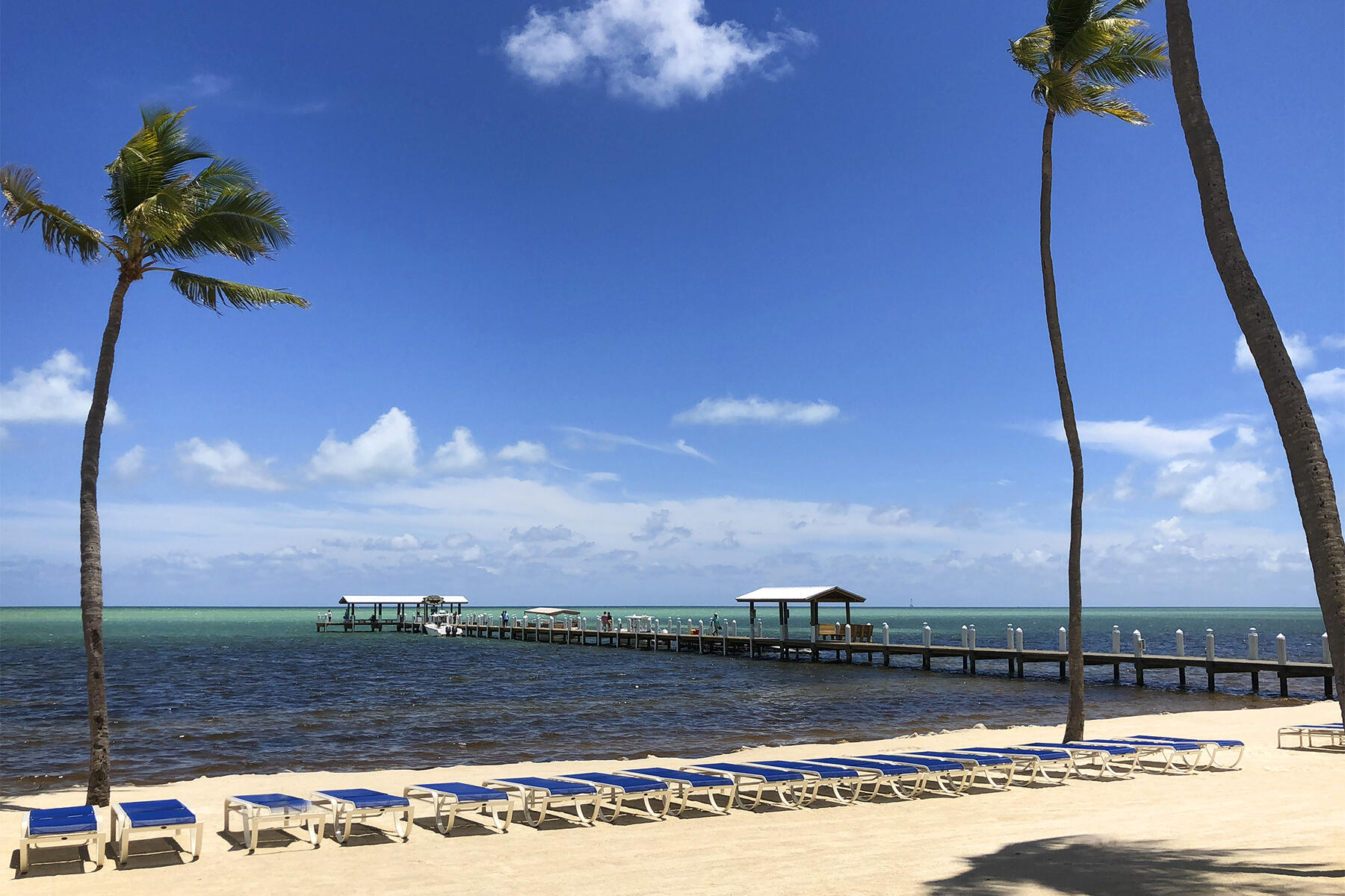 81801 Overseas Highway Unit: 612