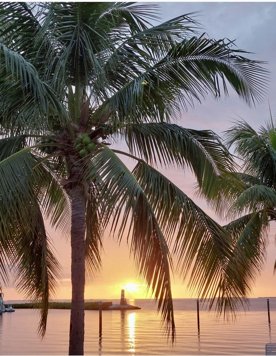 87200 Overseas Highway Unit: H4