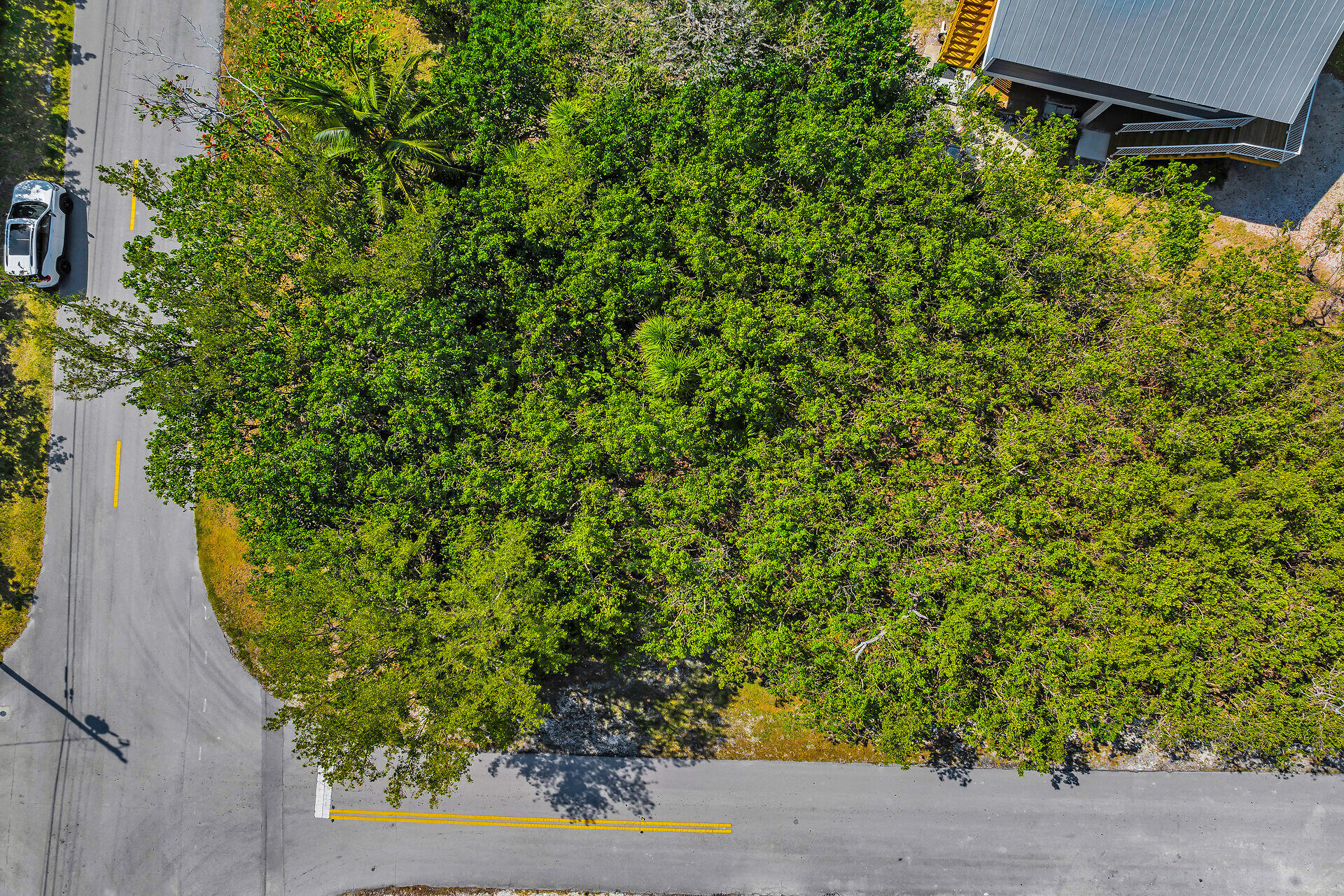 317 Tropical Avenue