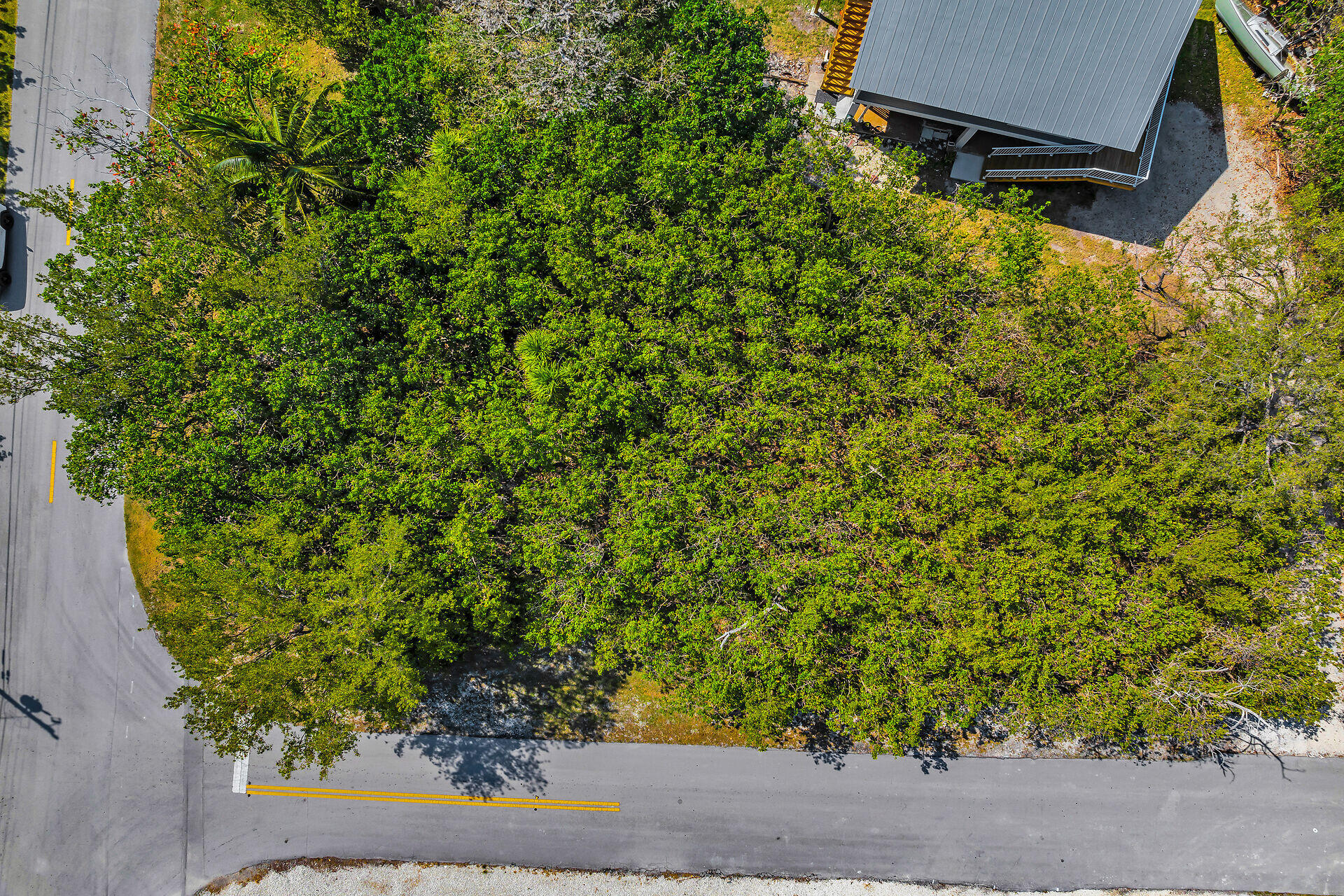 317 Tropical Avenue