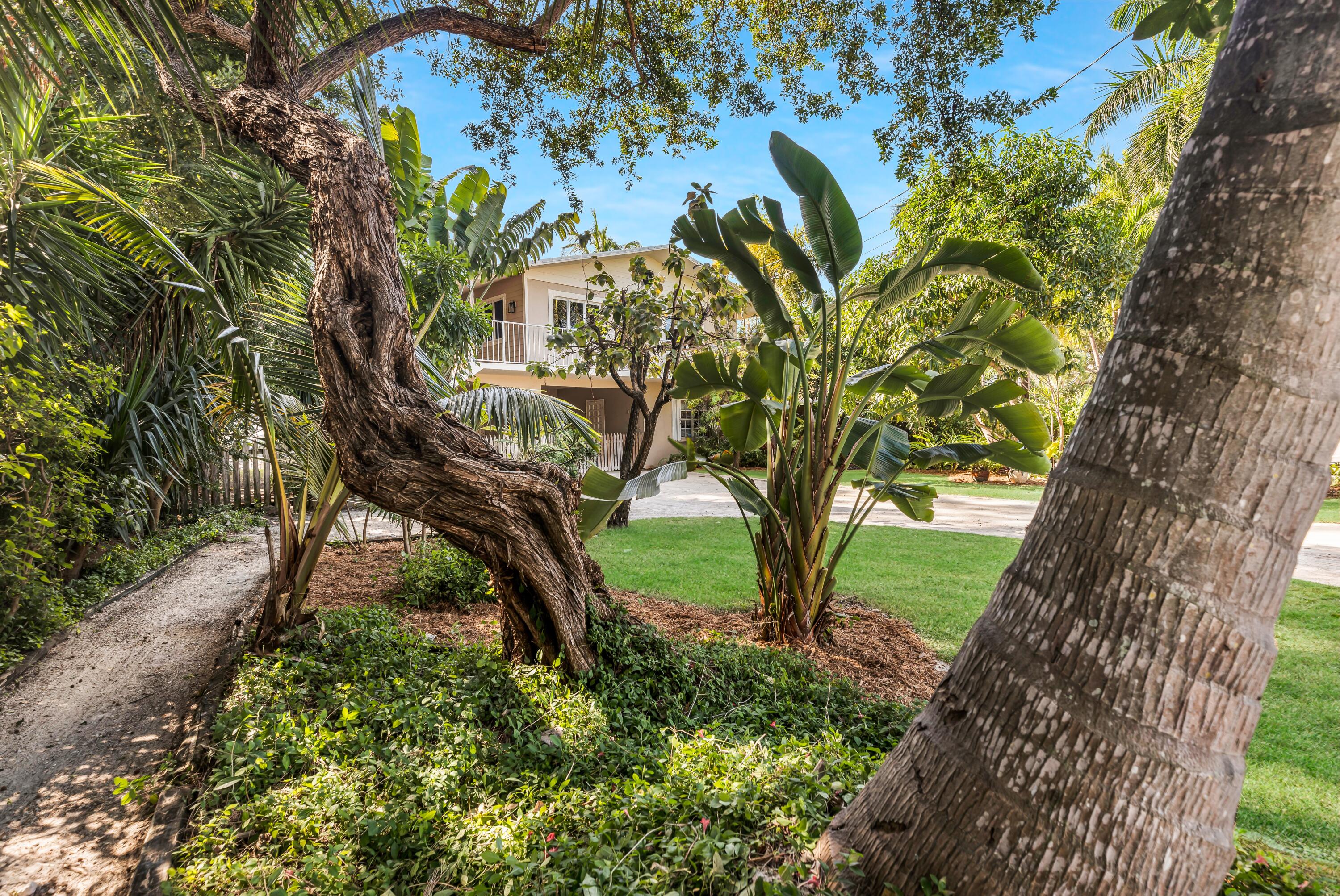 290 Woods Avenue