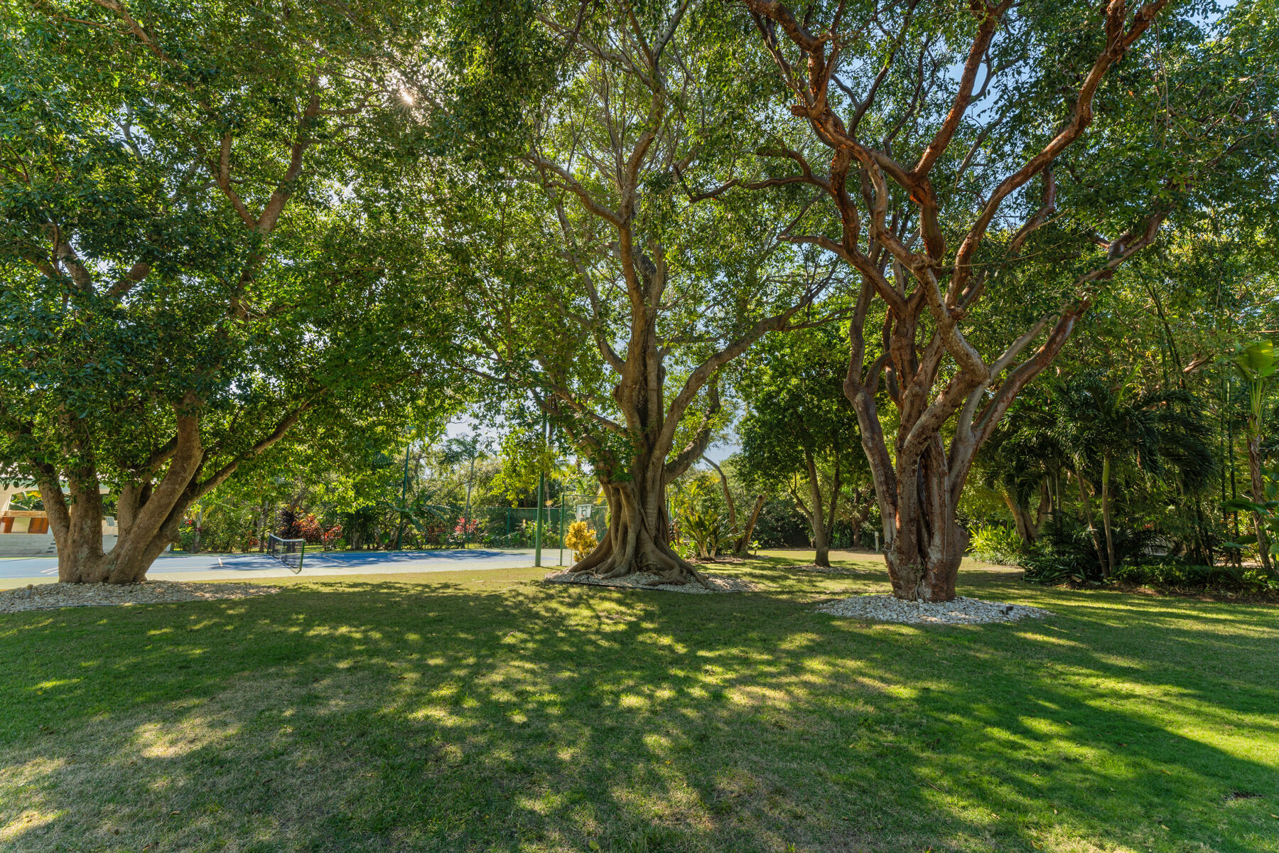 89505 Old Highway