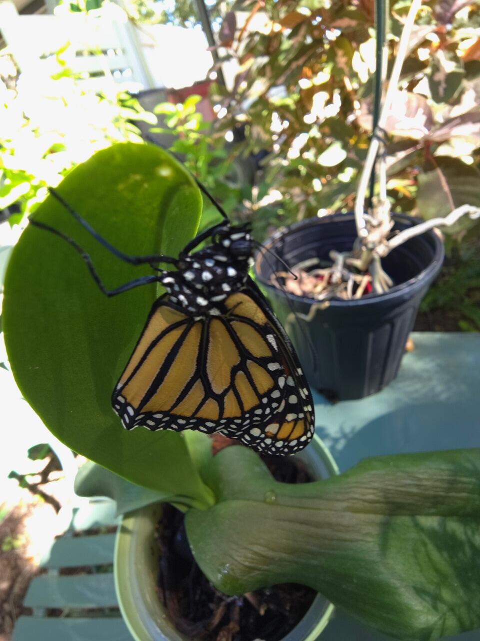 211 120Th Street Gulf Unit: B