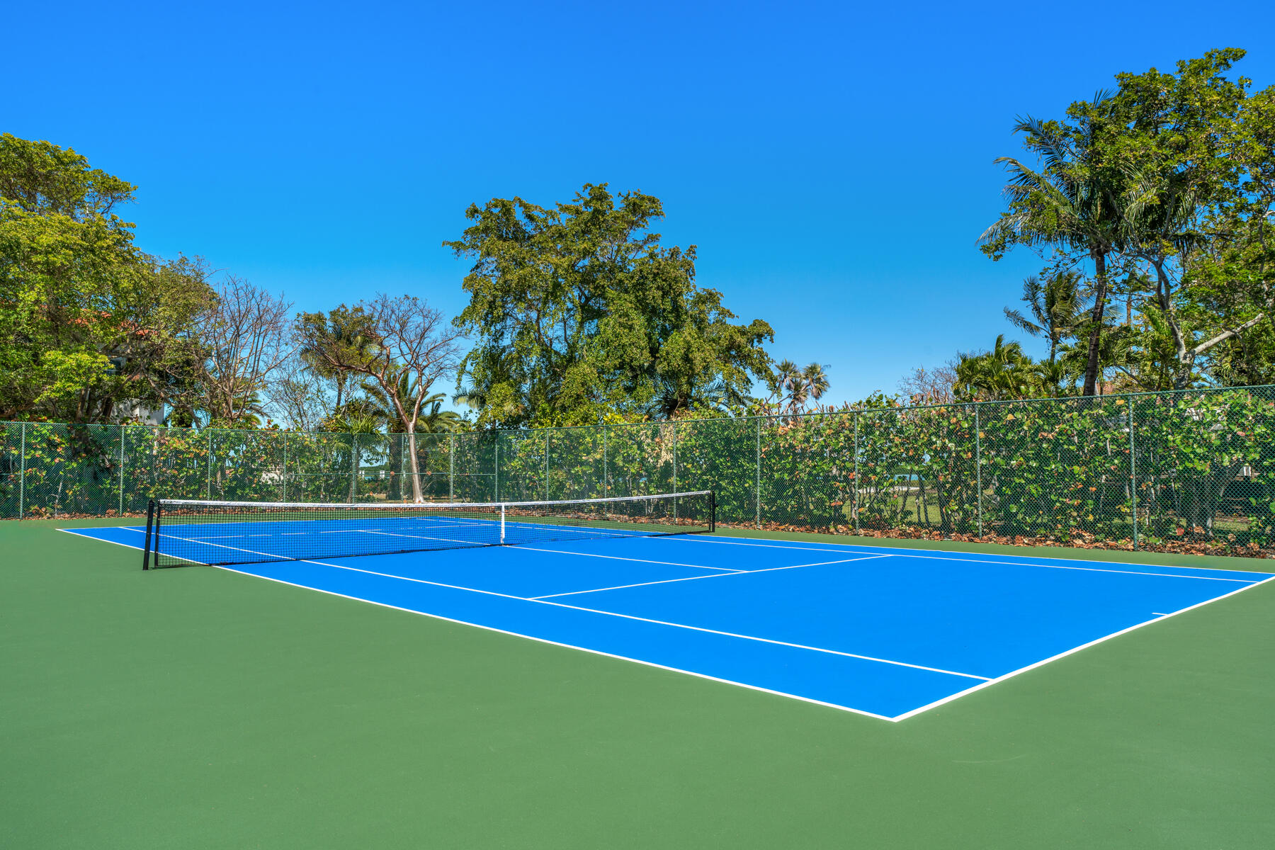 51 Cannon Royal Drive