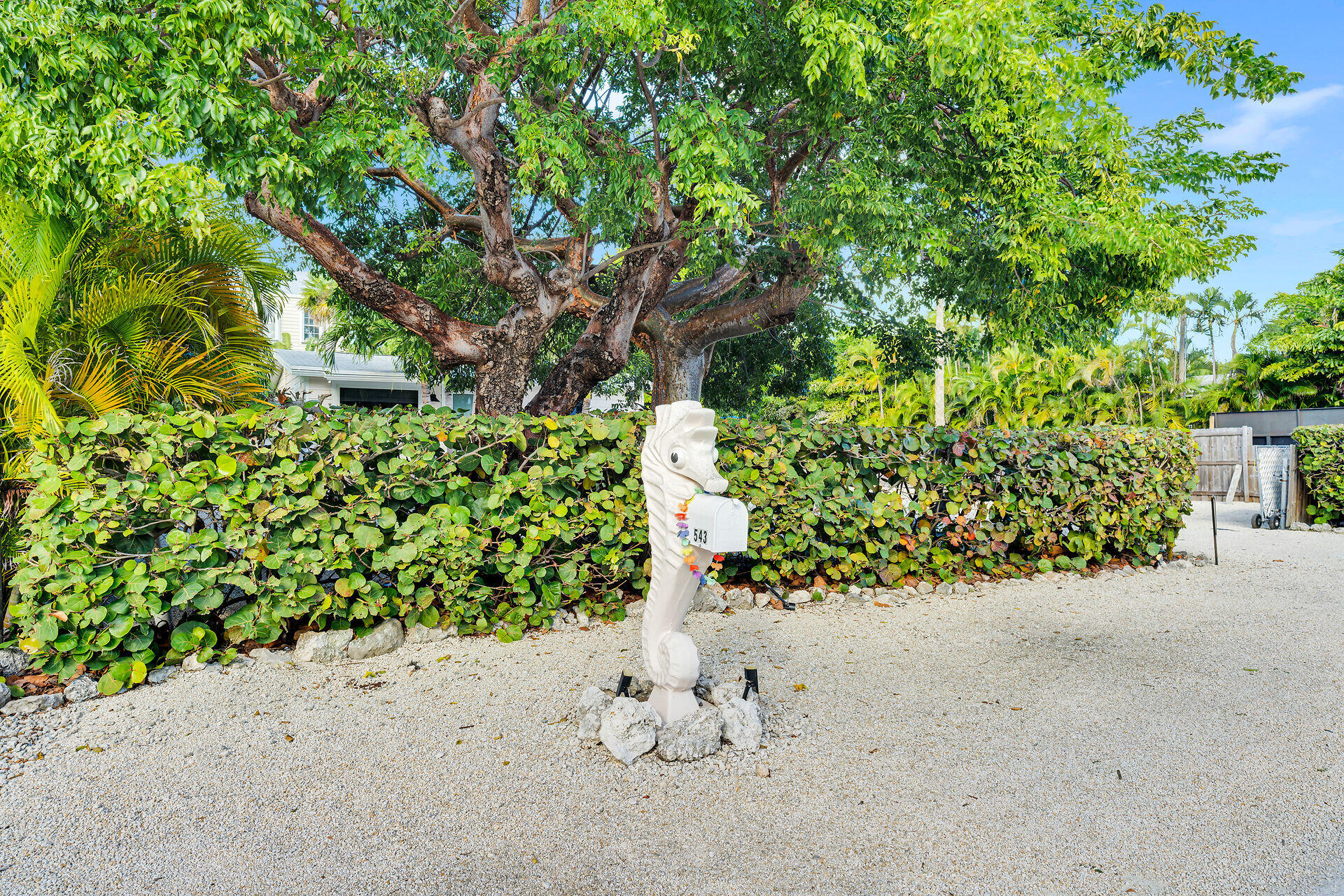 543 74Th Street