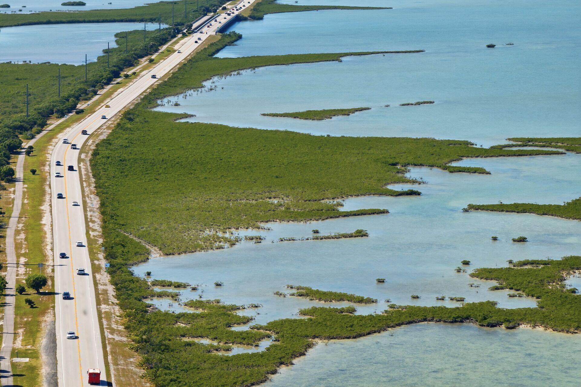 14 67 26 Saddlebunch Key