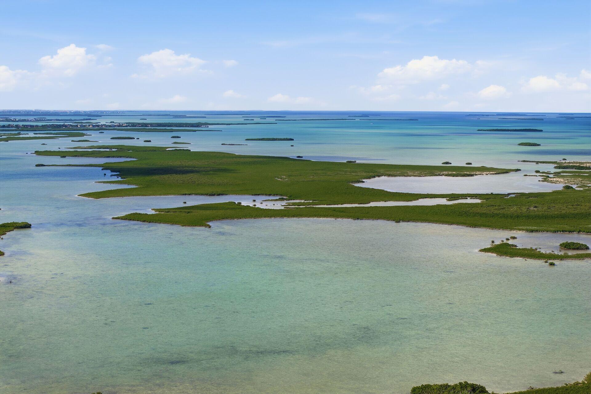 14 67 26 Saddlebunch Key