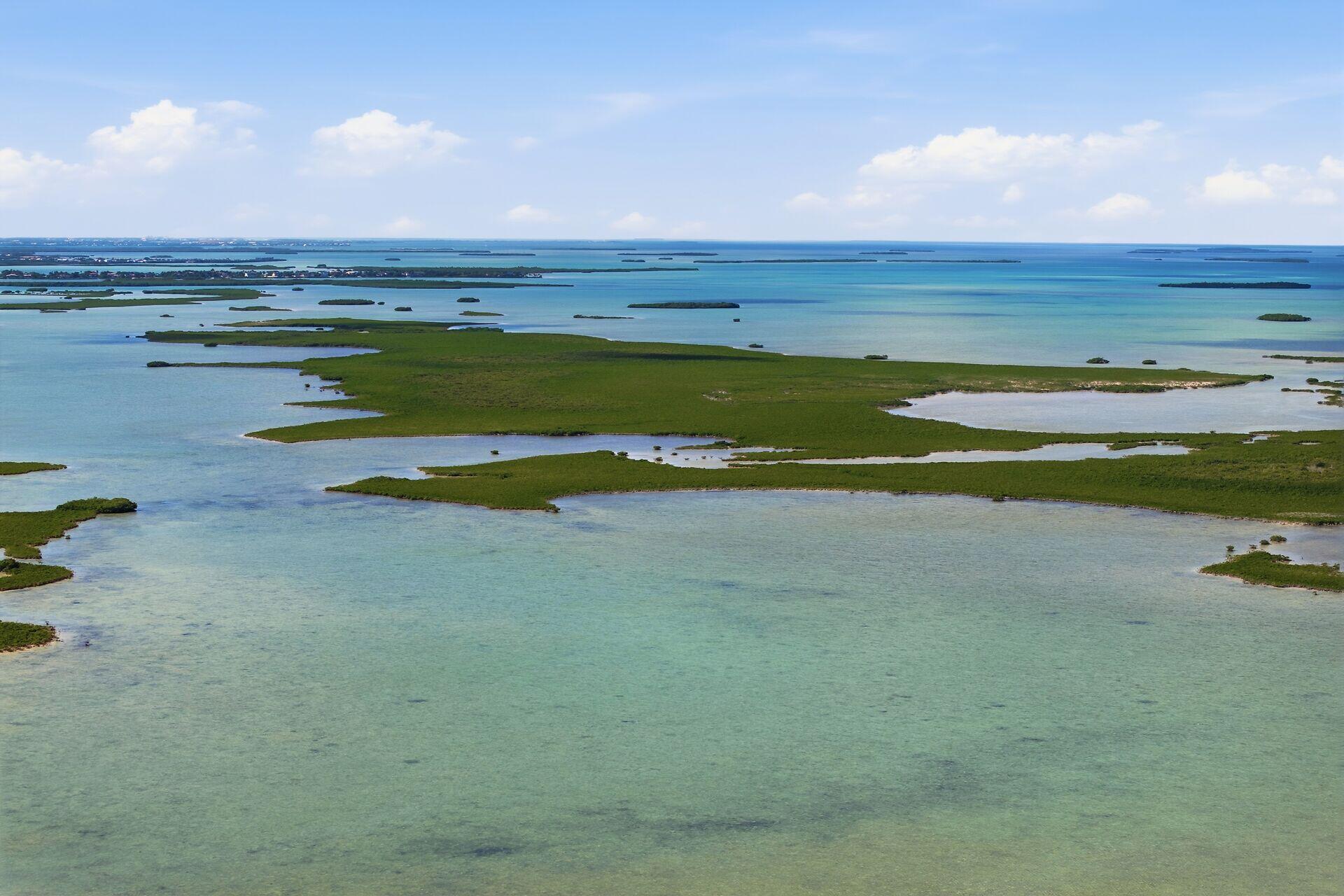 14 67 26 Saddlebunch Key