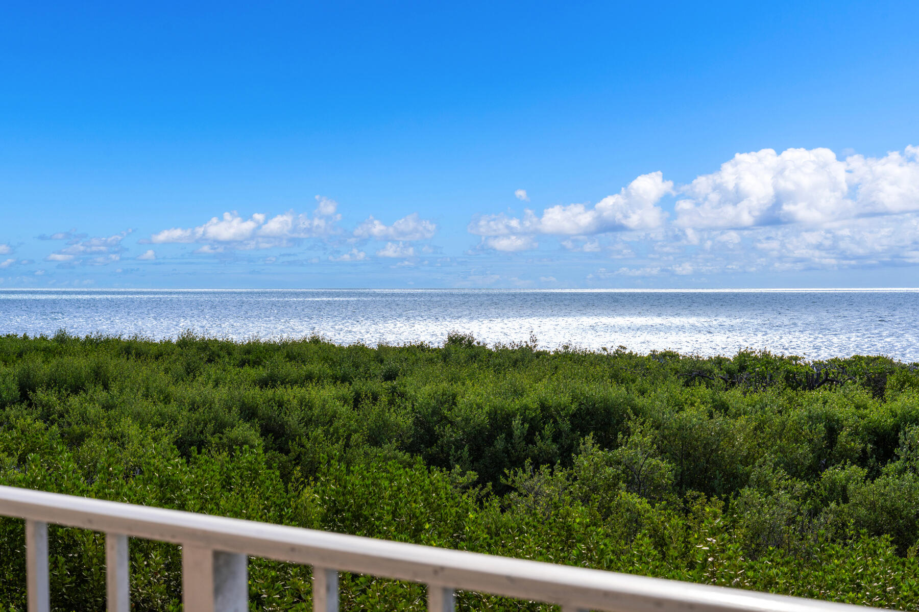 500 Burton Drive Unit: 4215