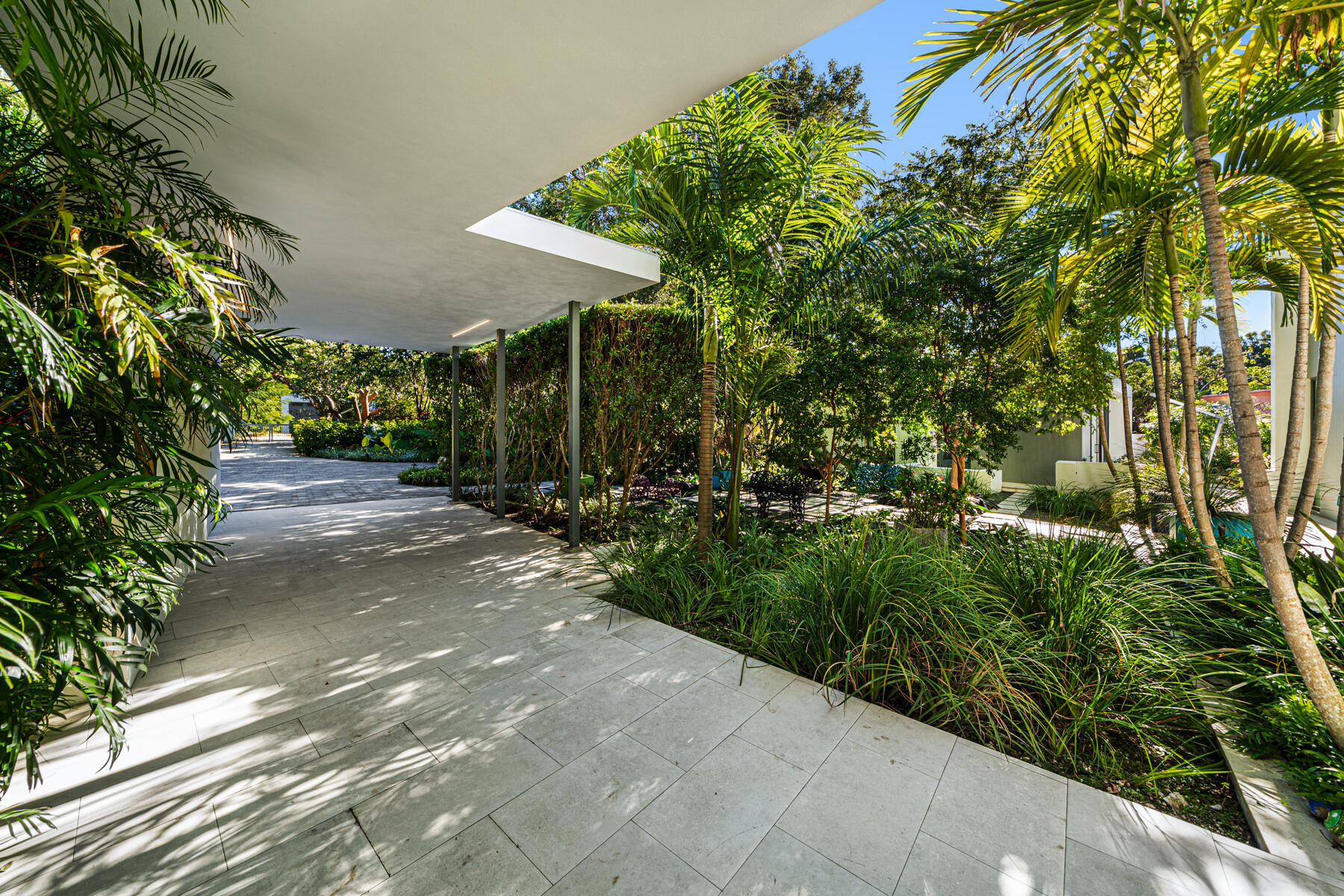 19 Avacado Street
