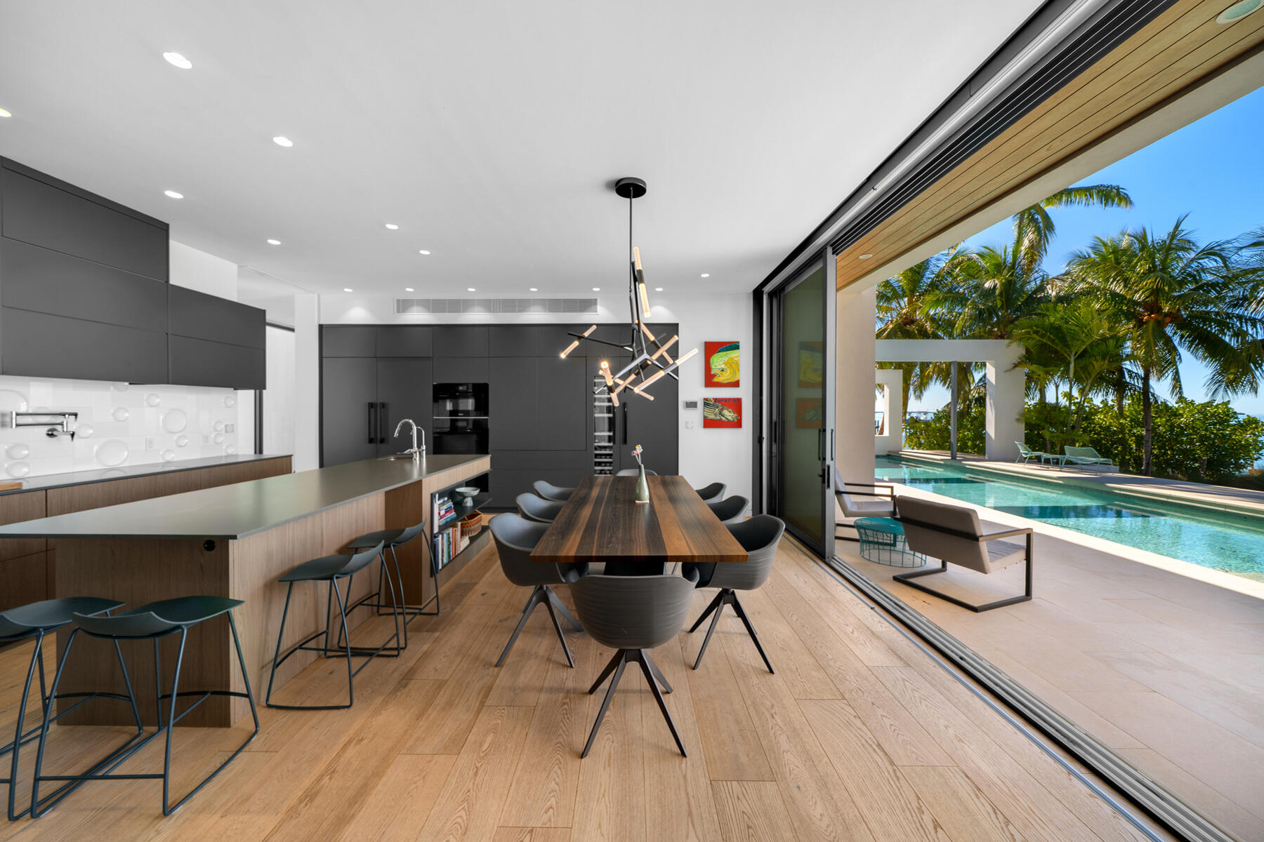 19 Avacado Street