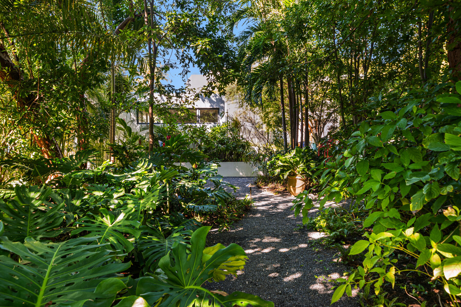 19 Avacado Street