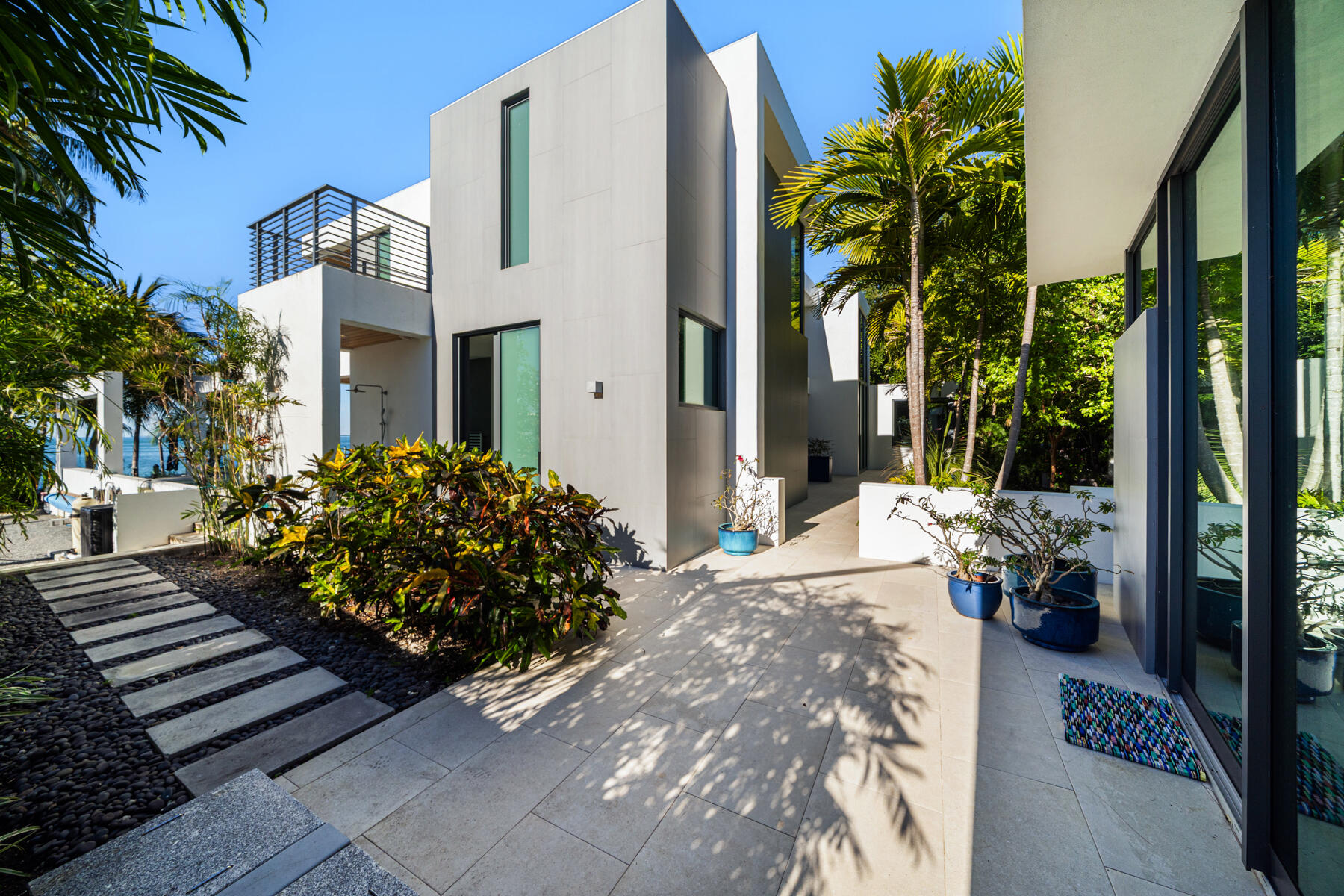 19 Avacado Street
