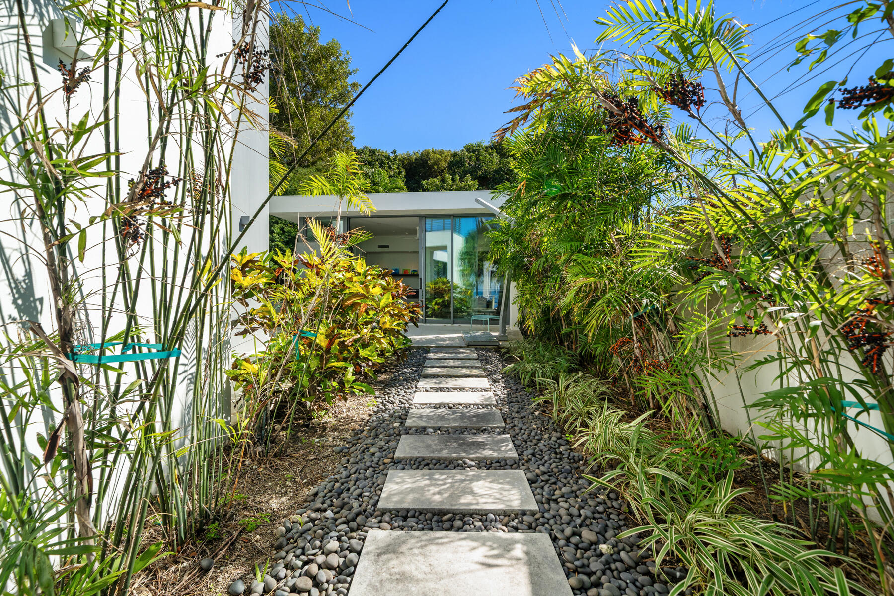 19 Avacado Street