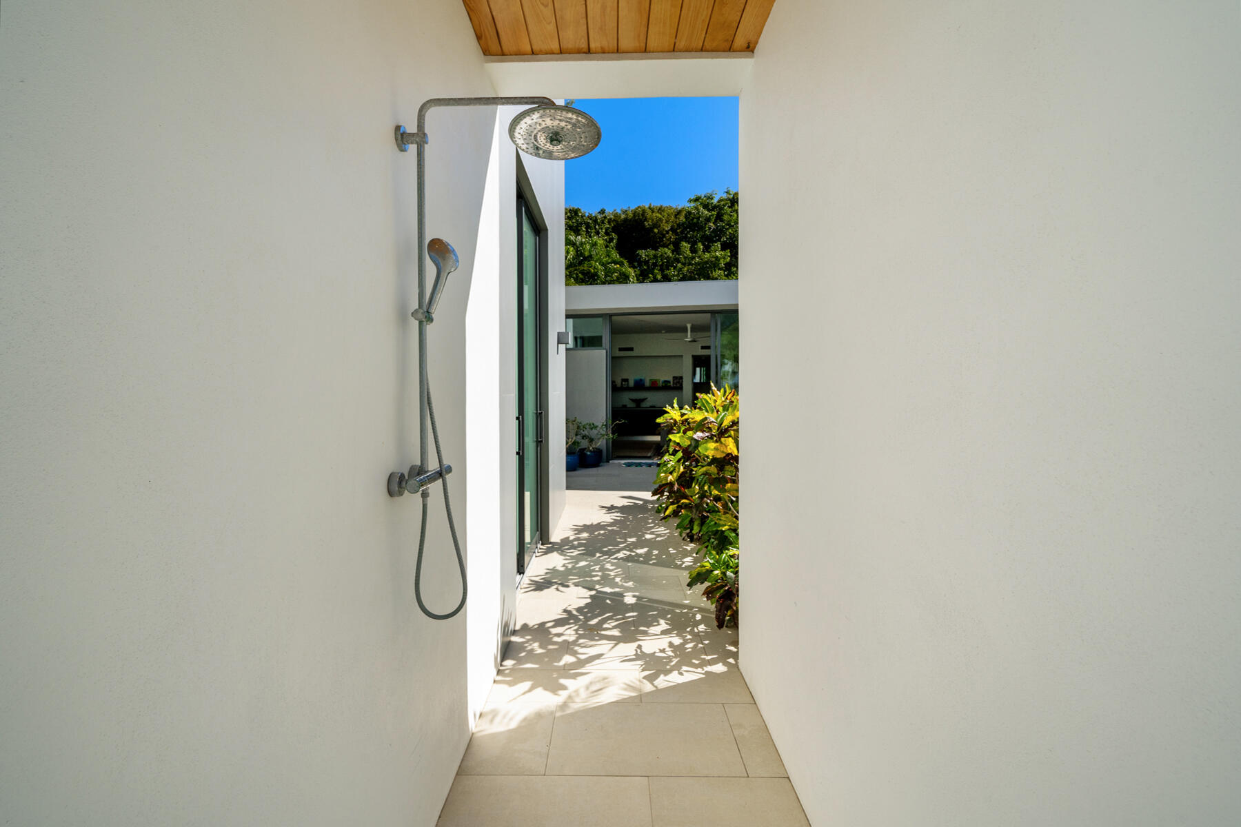 19 Avacado Street
