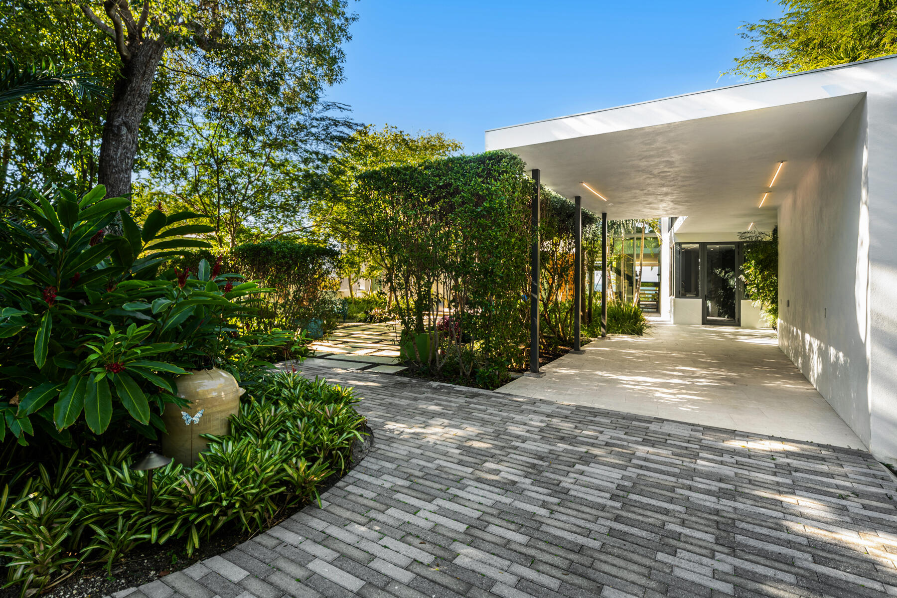 19 Avacado Street