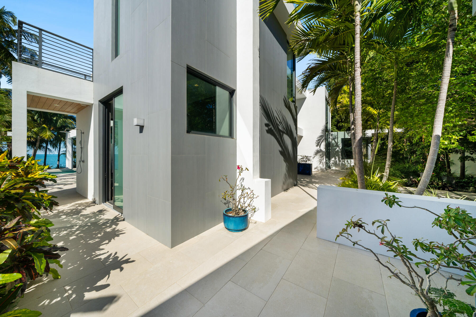 19 Avacado Street