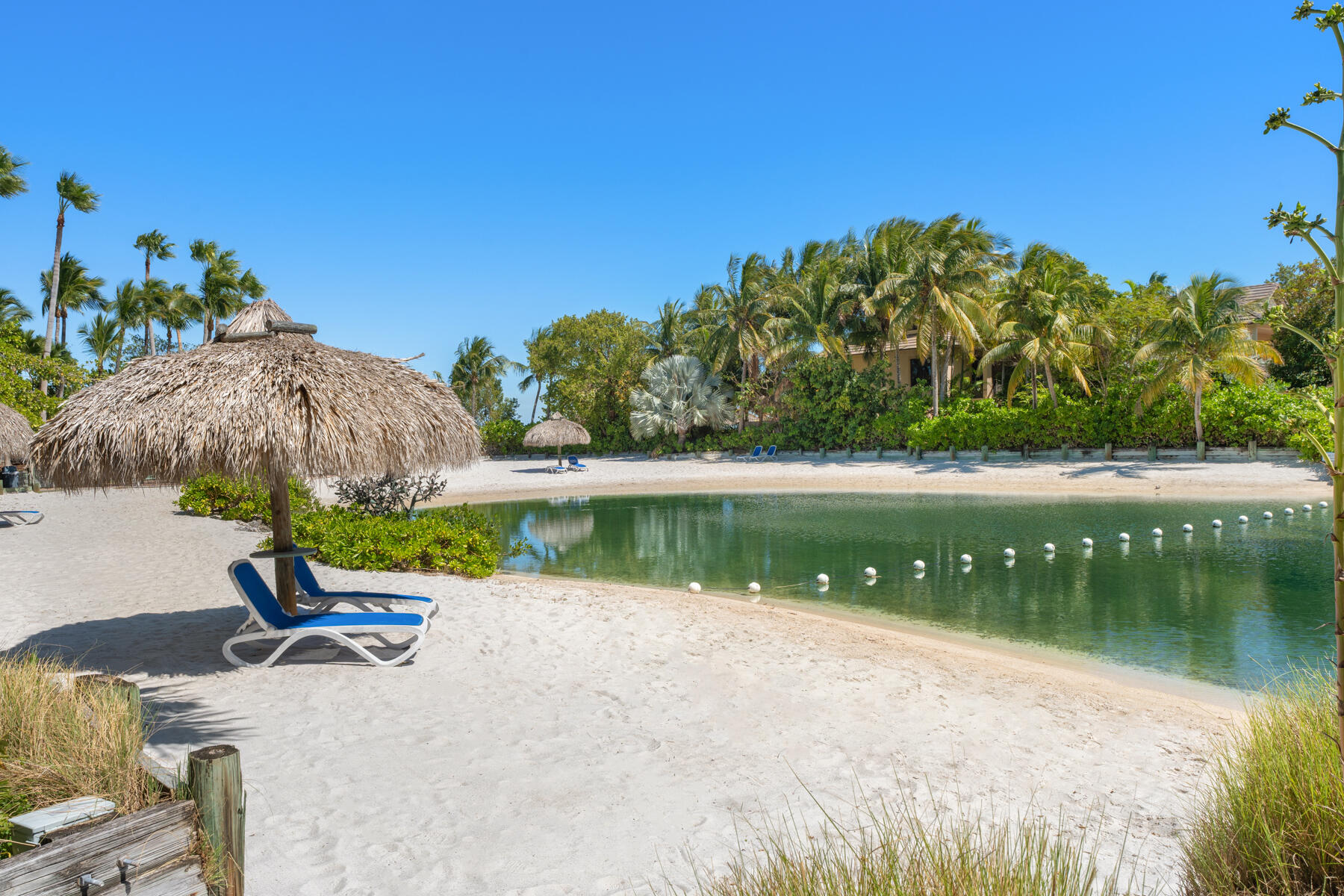 24 Cannon Royal Drive