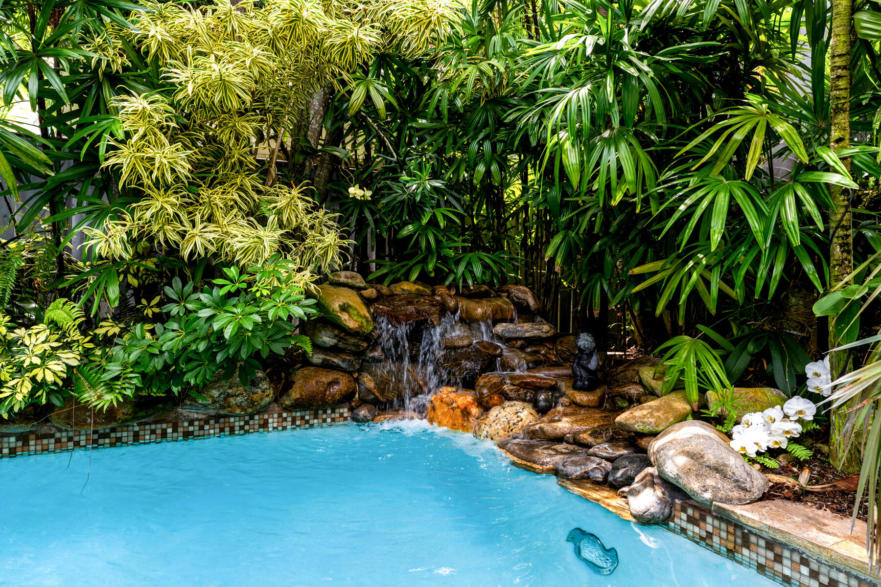 1020 Von Phister Street