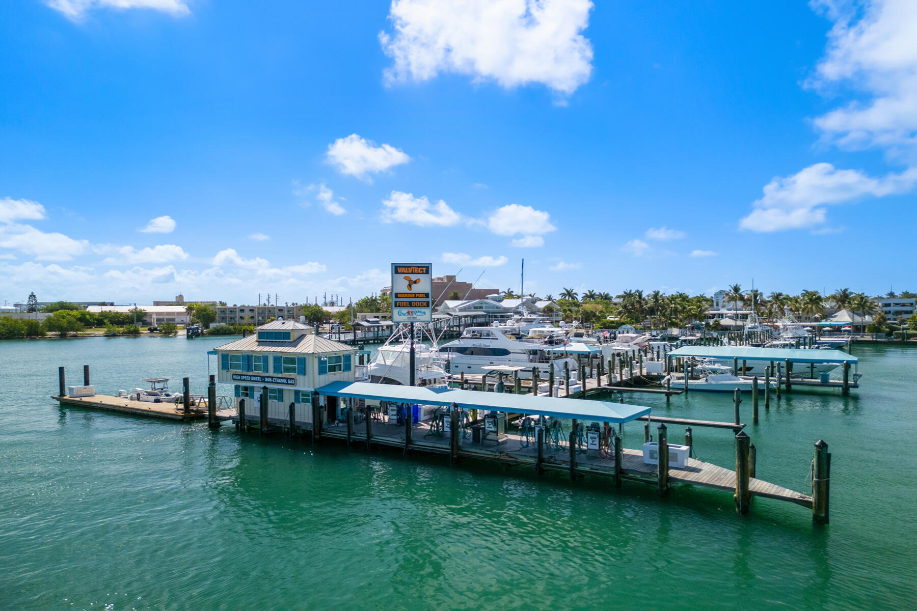 951 Caroline Street 19