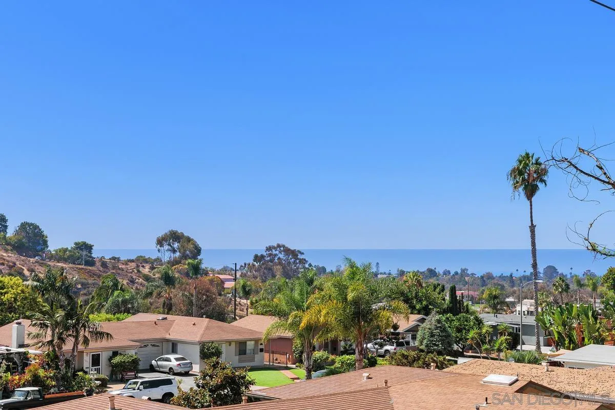 Encinitas homes and palm trees overlook the Pacific Ocean.