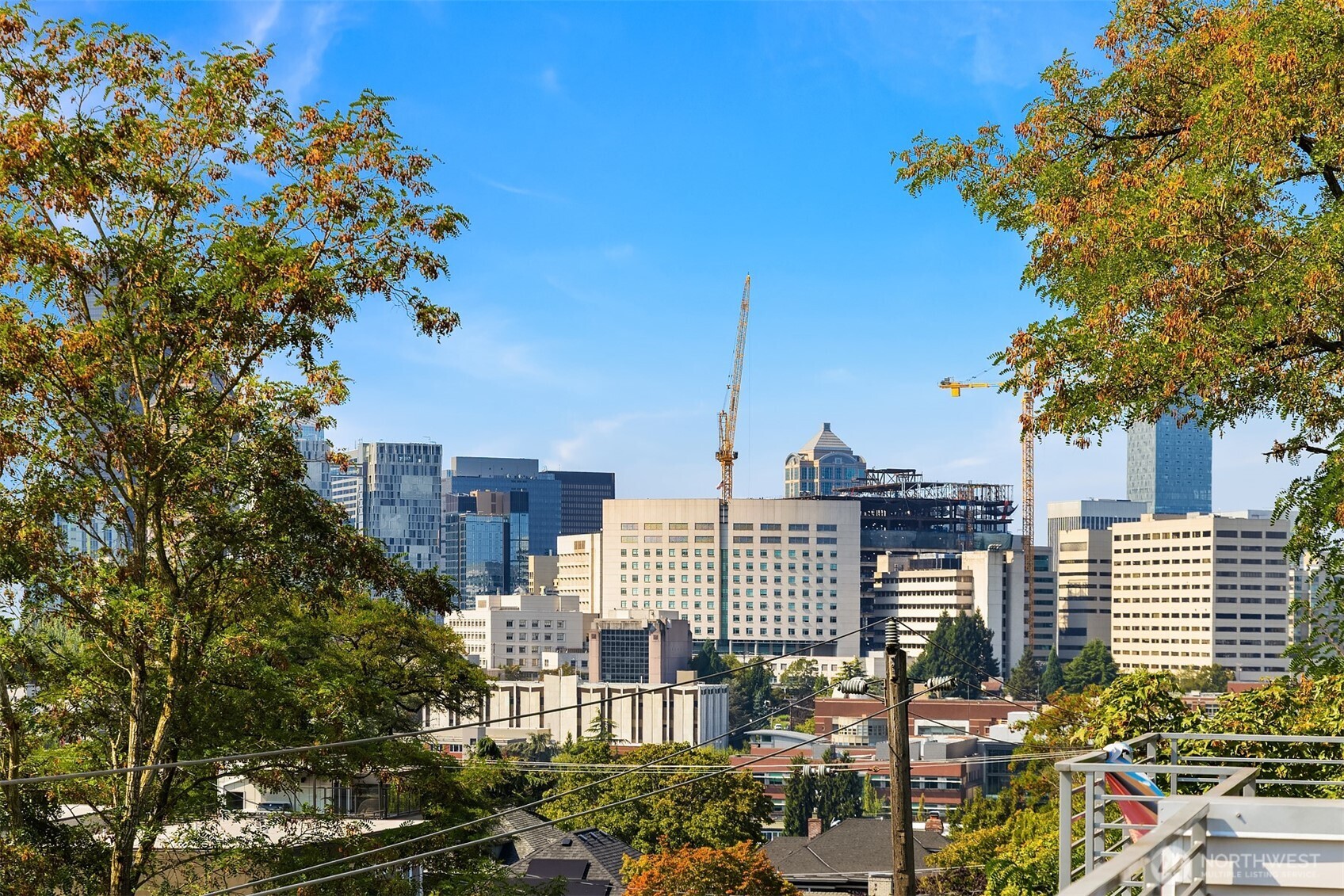 1704 E Marion Street