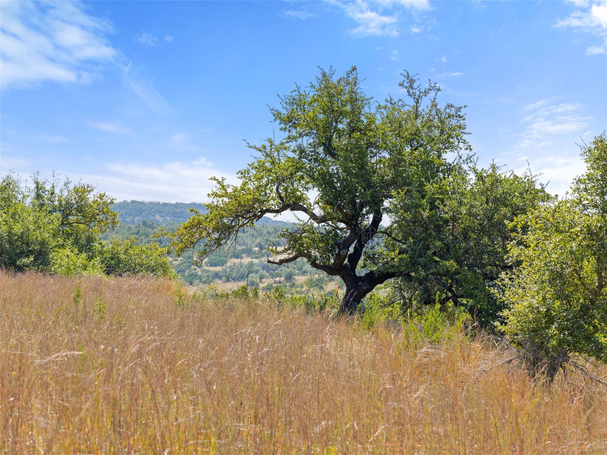 5818 Ranch Road 165