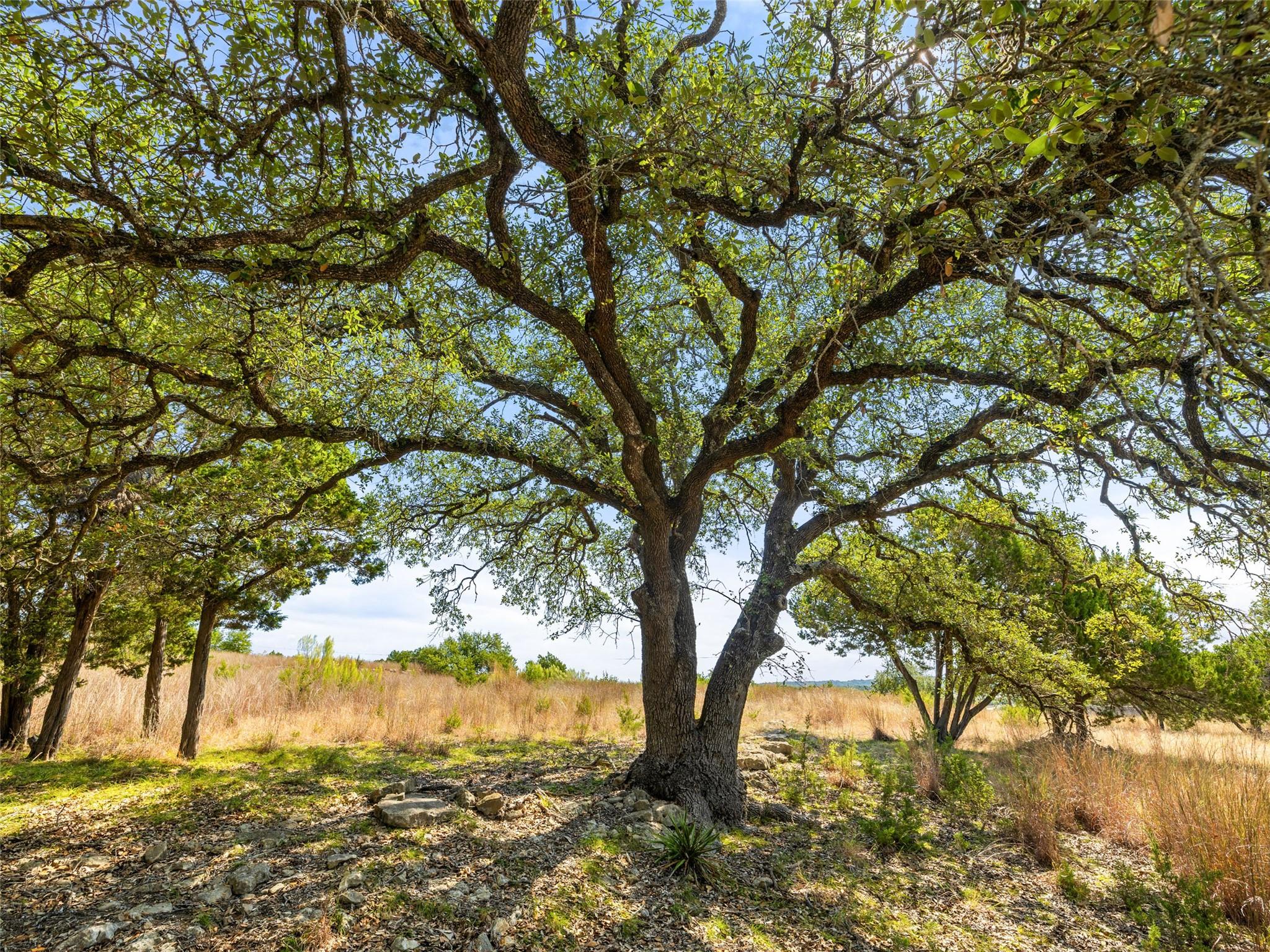 5818 Ranch Road 165
