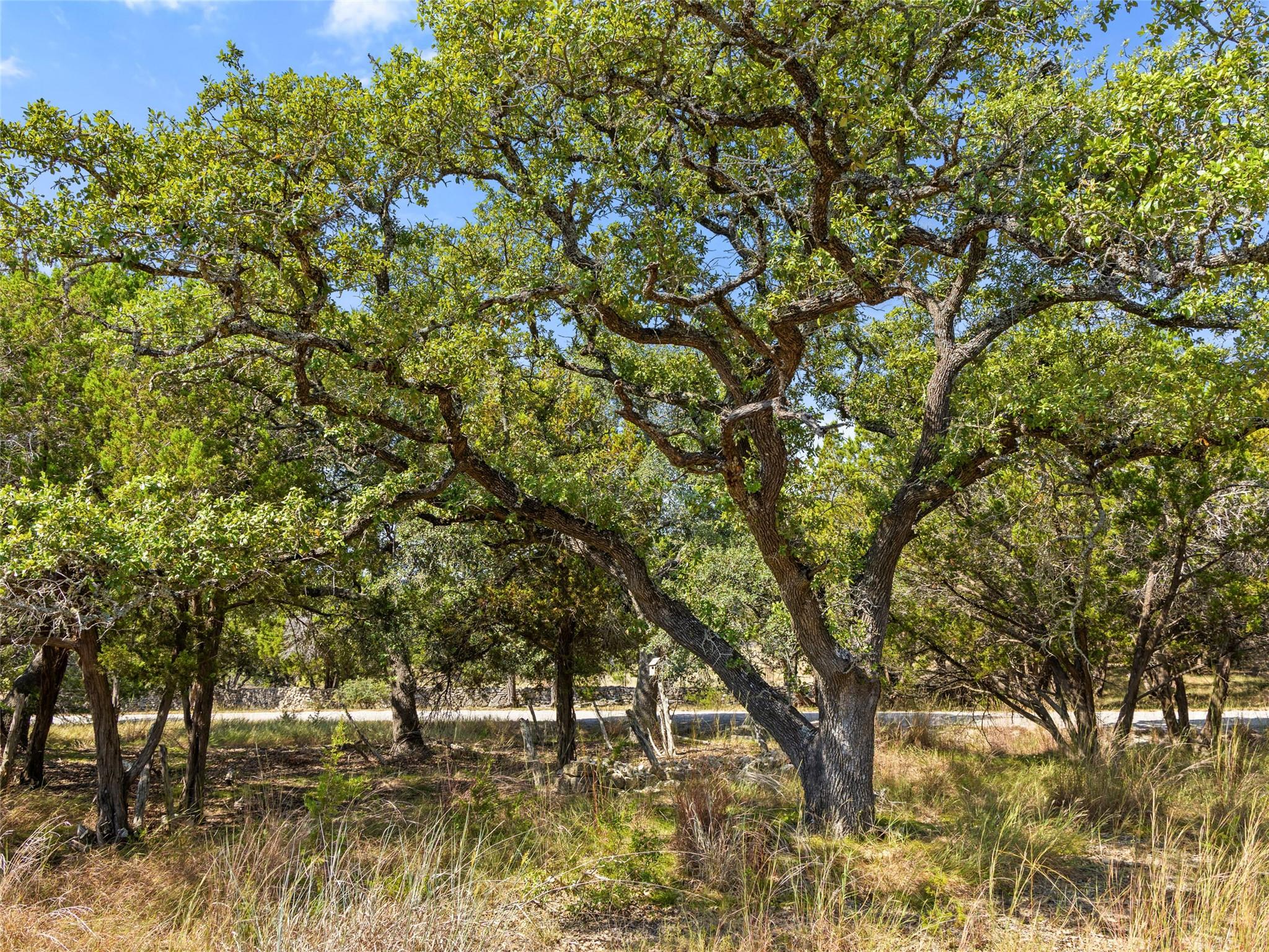 5818 Ranch Road 165