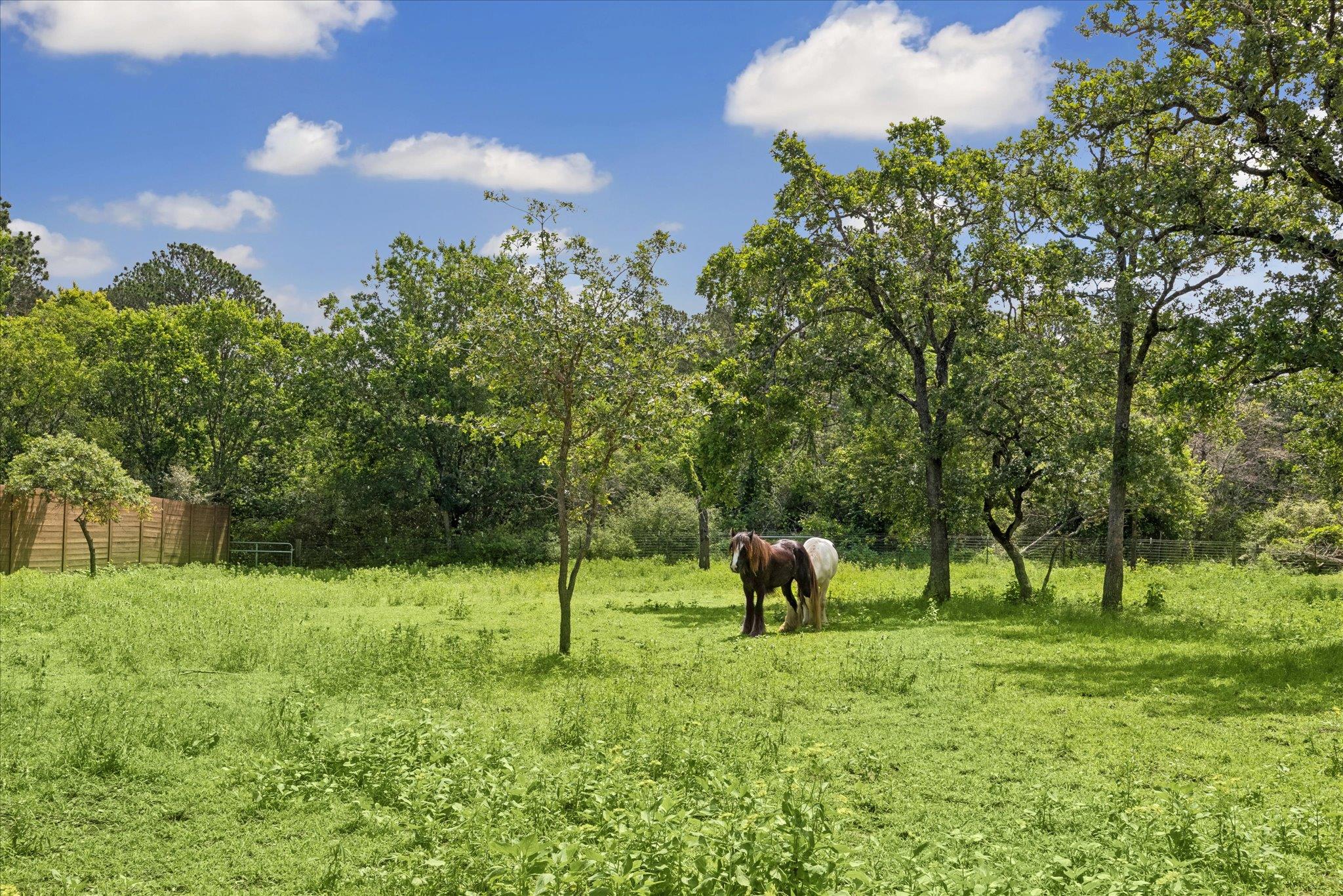 Sweetheart Ranch