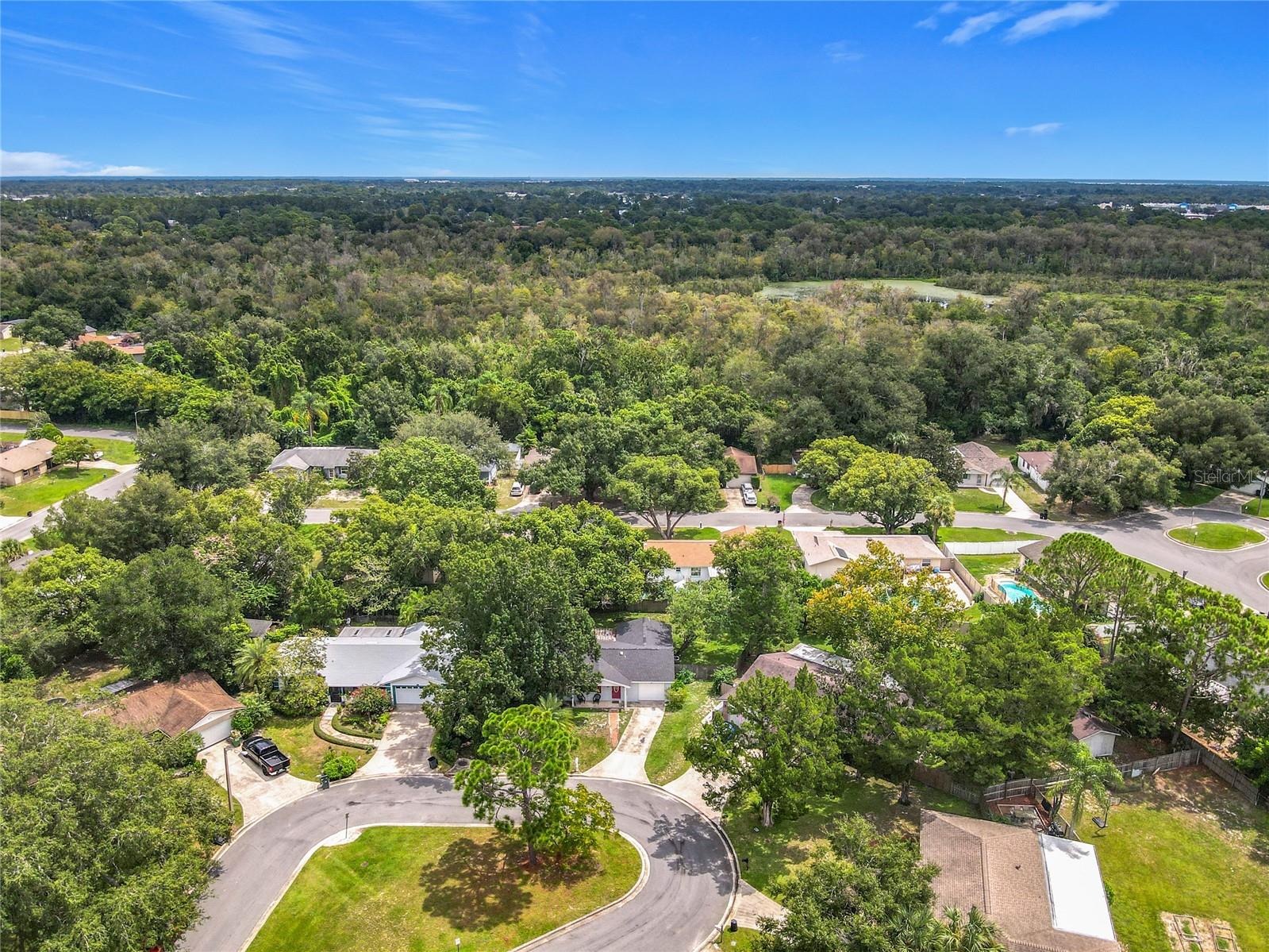 311 TALL PINE LN