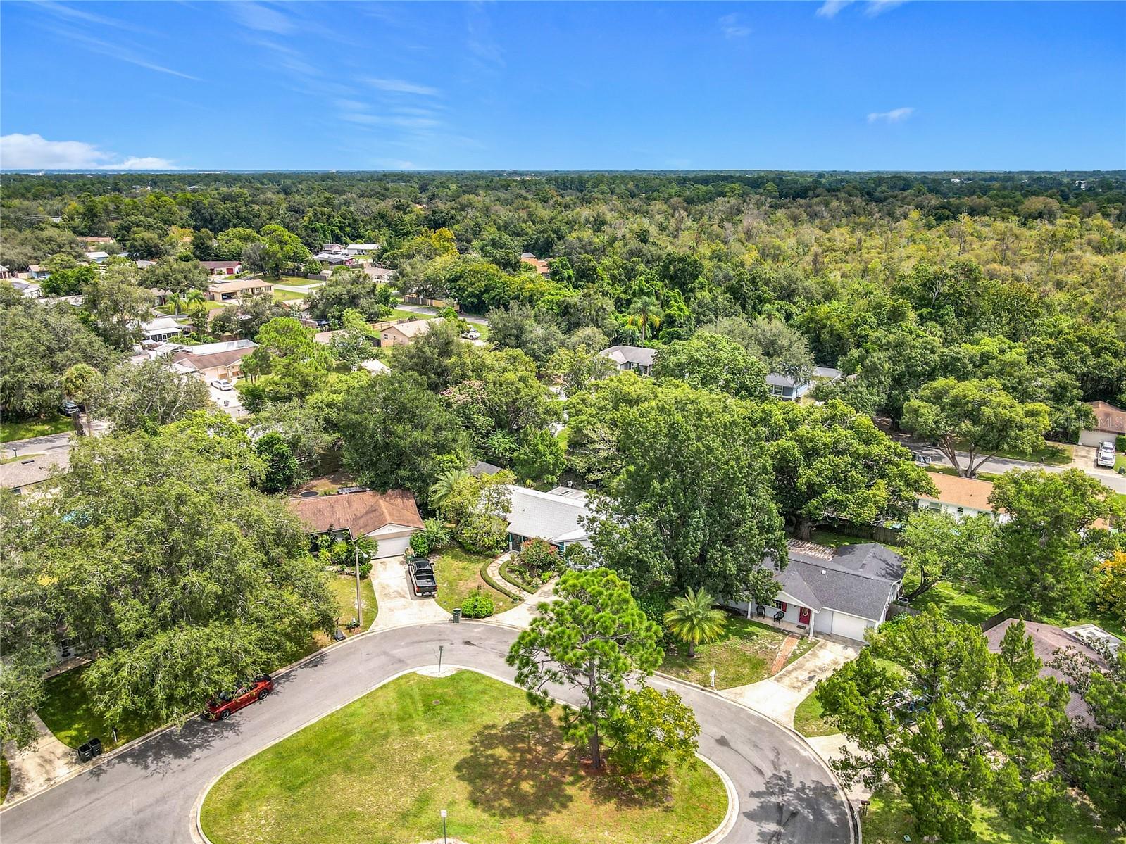 311 TALL PINE LN