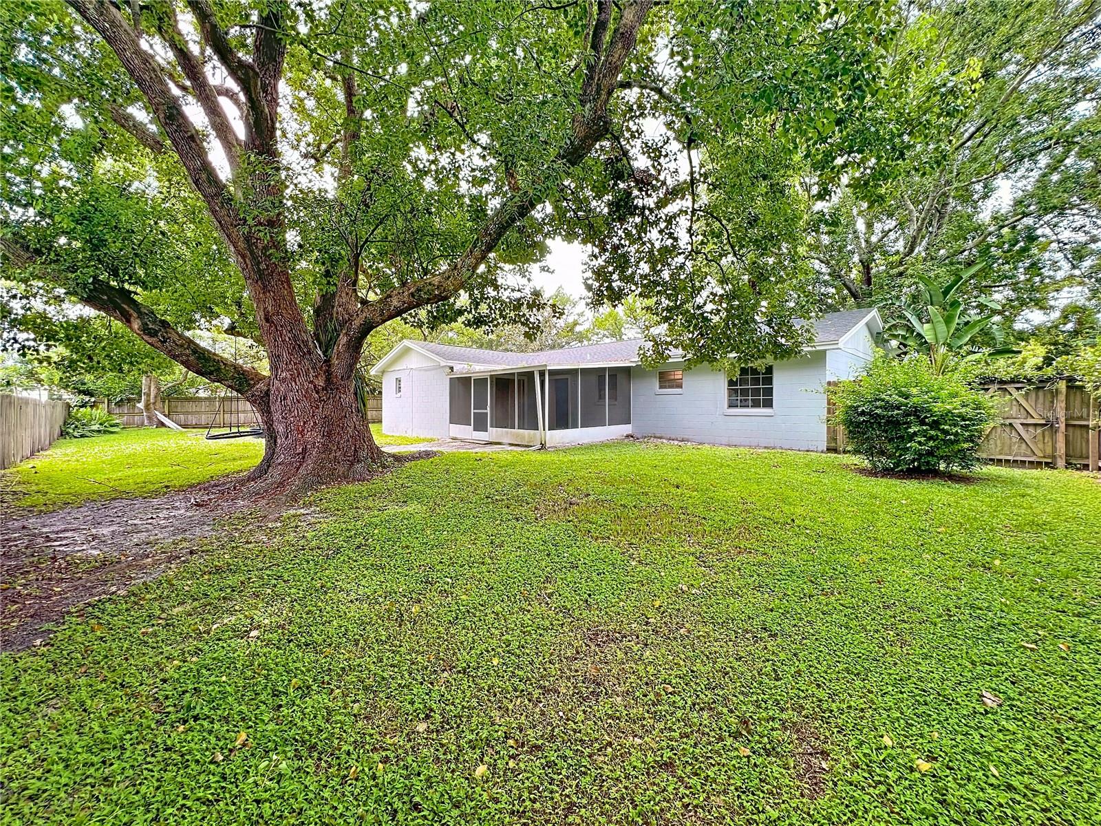 311 TALL PINE LN