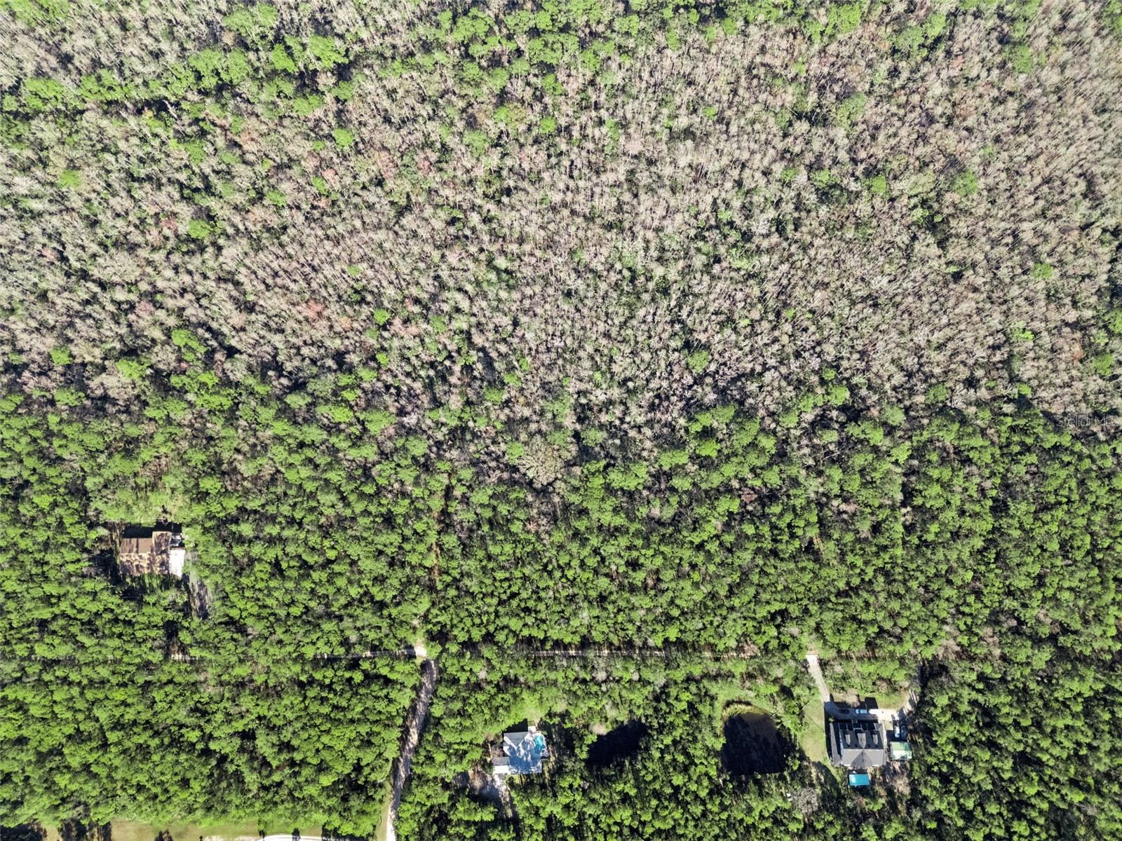 3441 HICKORY CREEK RD