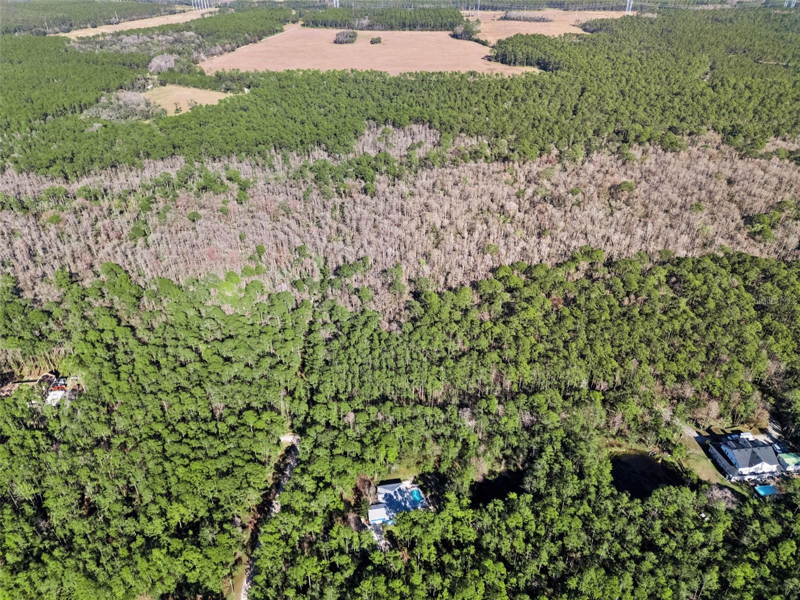 3441 HICKORY CREEK RD