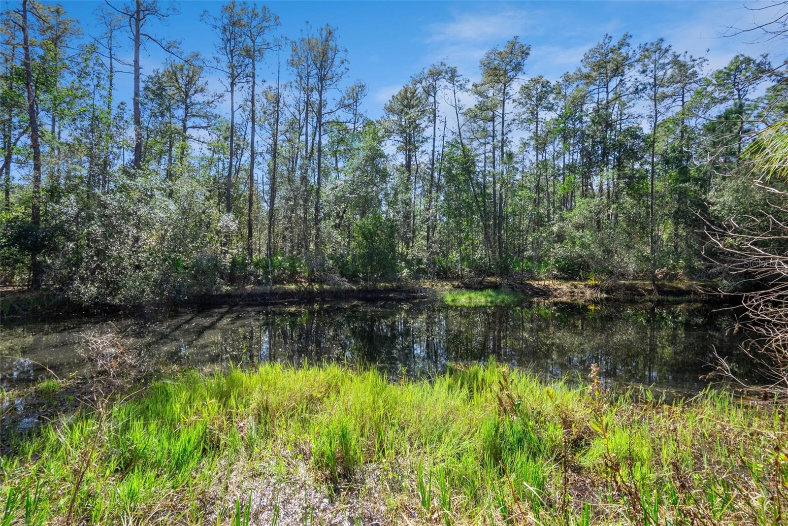 3441 HICKORY CREEK RD