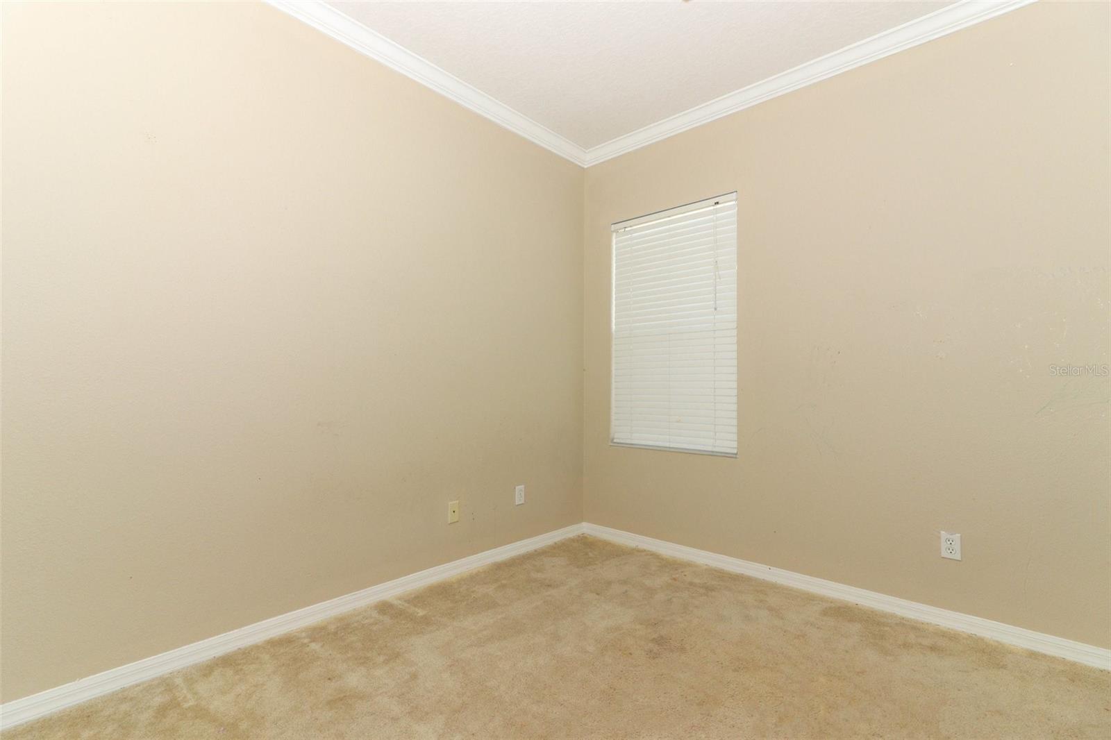 10071 CYPRESS KNEE CIR