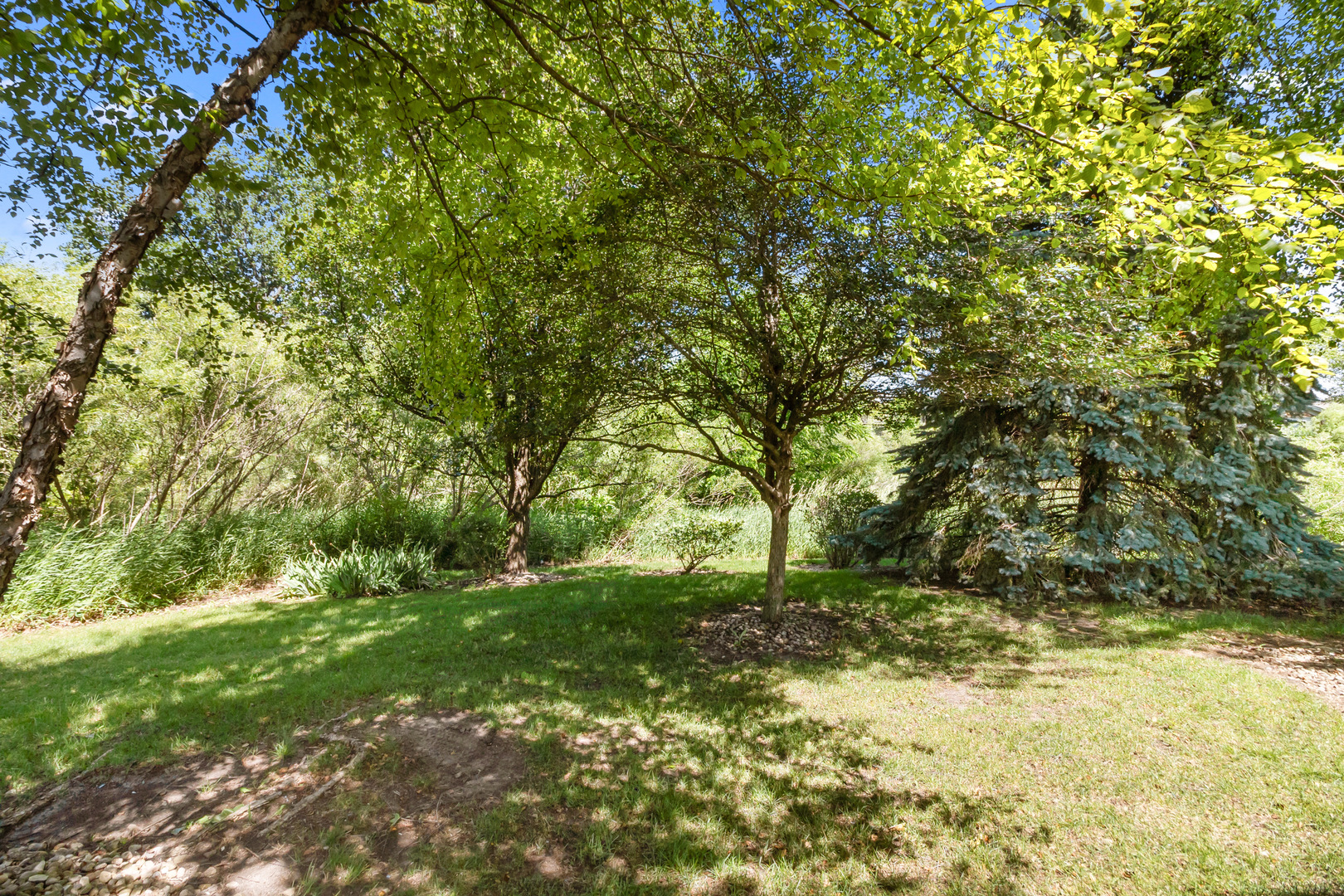 3420 Steeplechase Way