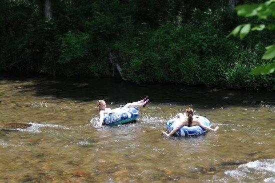 81 S. Sundrops Trail