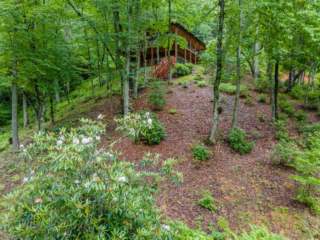 114 Eagles Wings Place