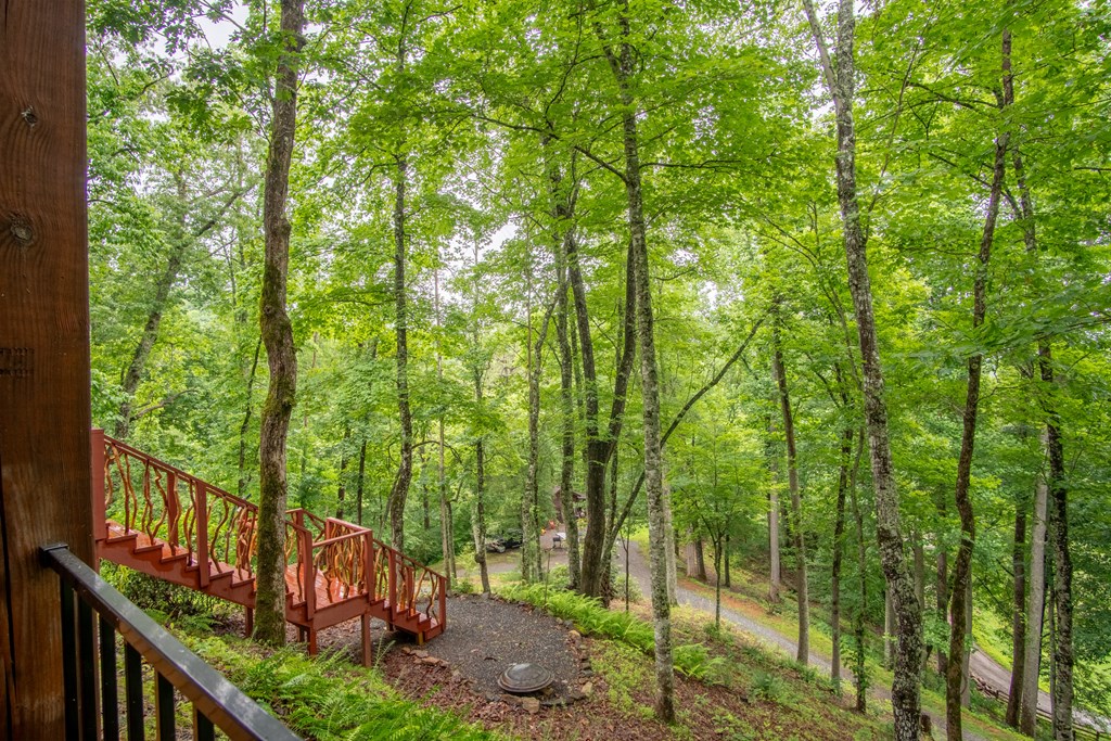 114 Eagles Wings Place