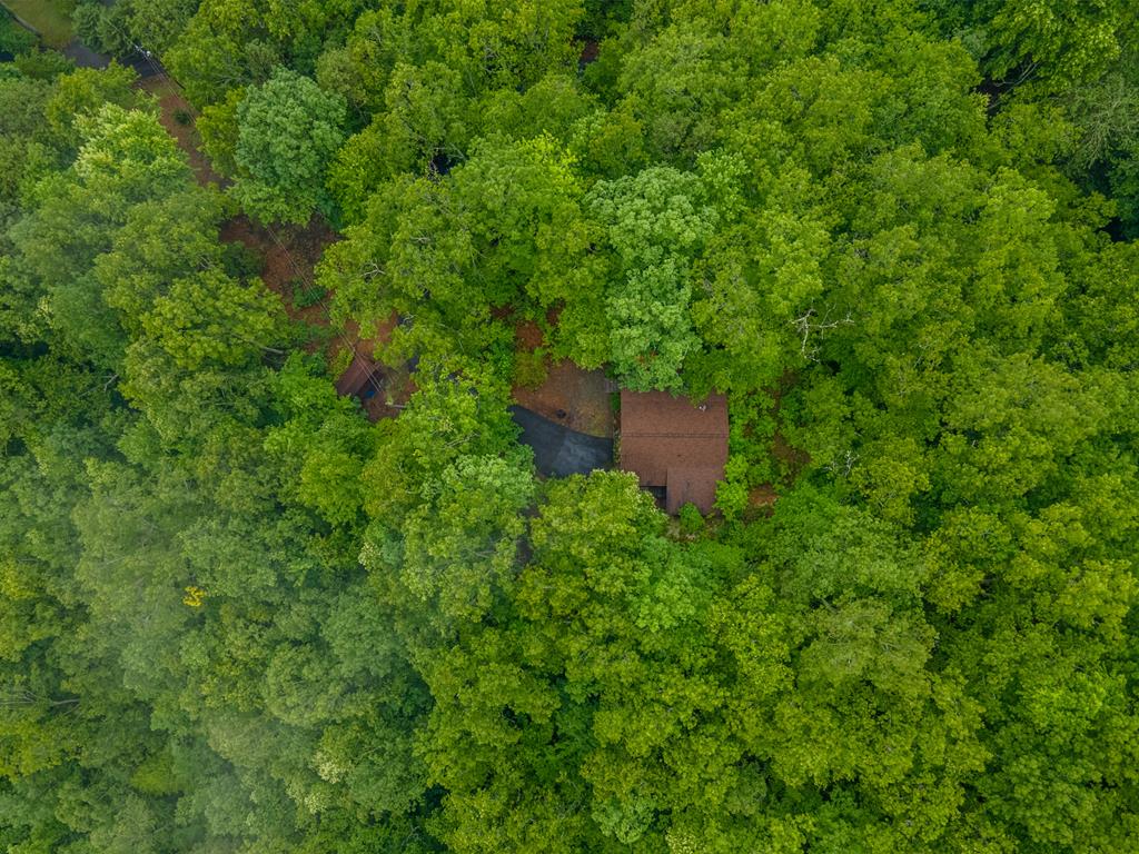 364 Leafstone Circle