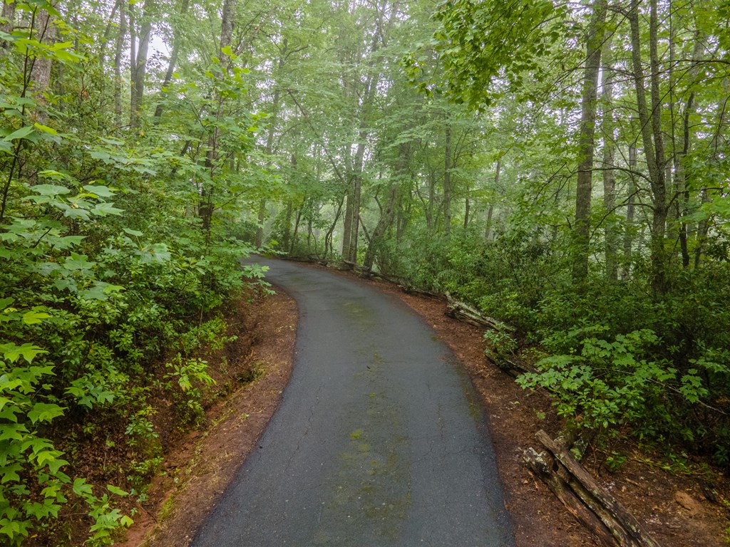 364 Leafstone Circle