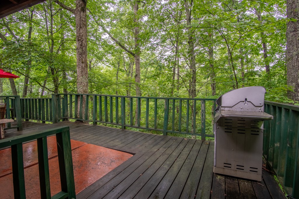 364 Leafstone Circle