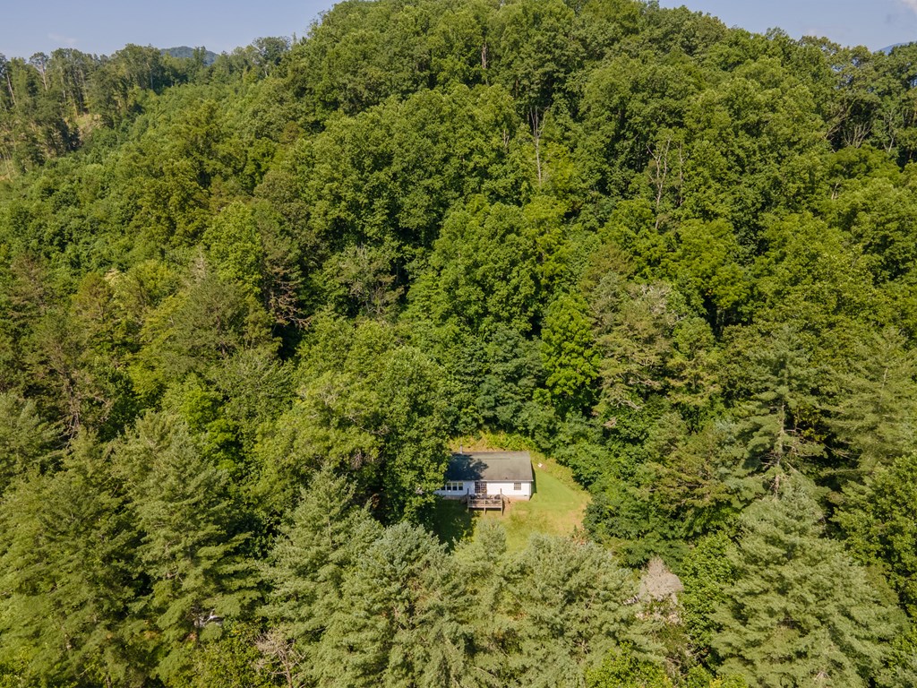 508 Cripple Creek Road