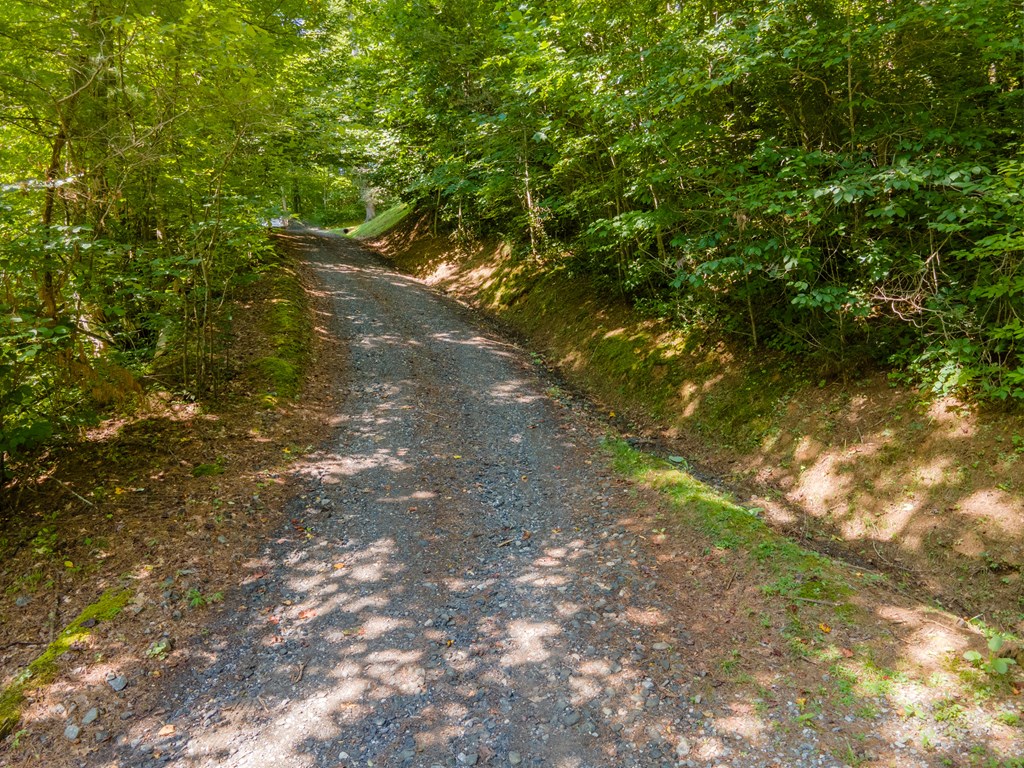 508 Cripple Creek Road